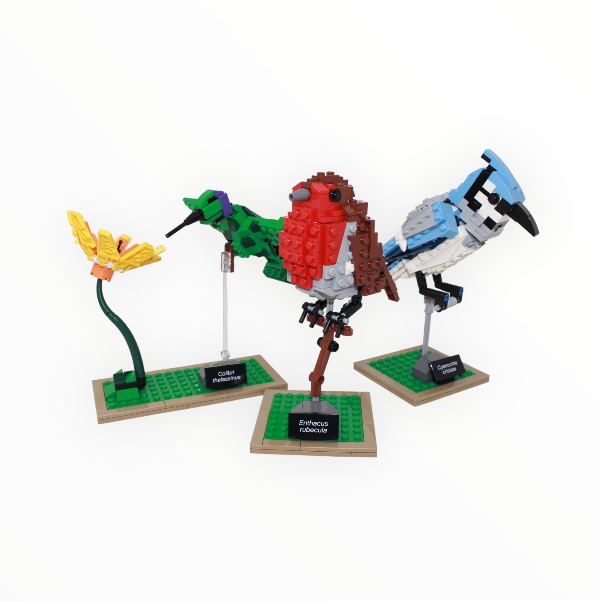 Used Set 21301 LEGO Ideas Birds