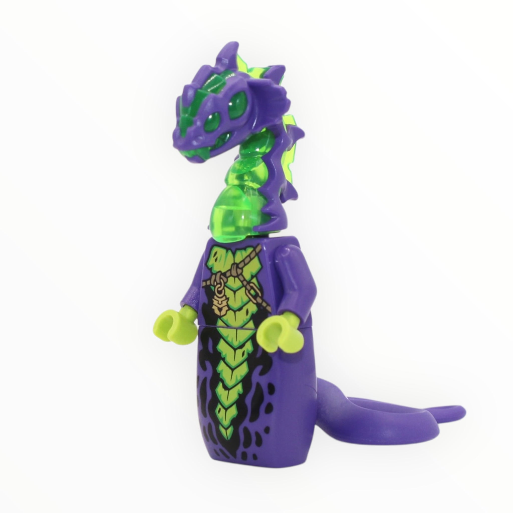 Acid Monster (Dragons Rising S4)