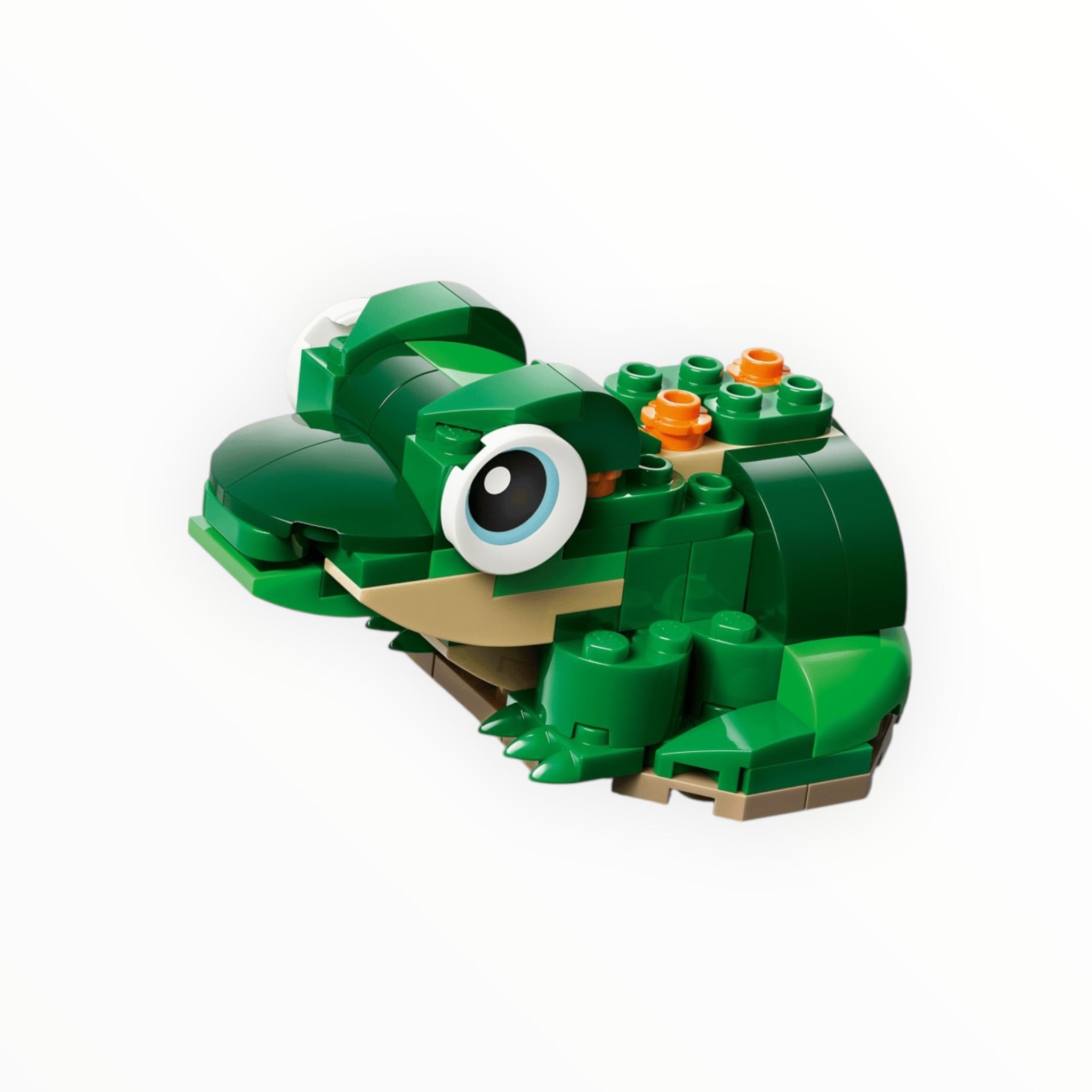 31377 Creator Turtle with a Water Lily Flower