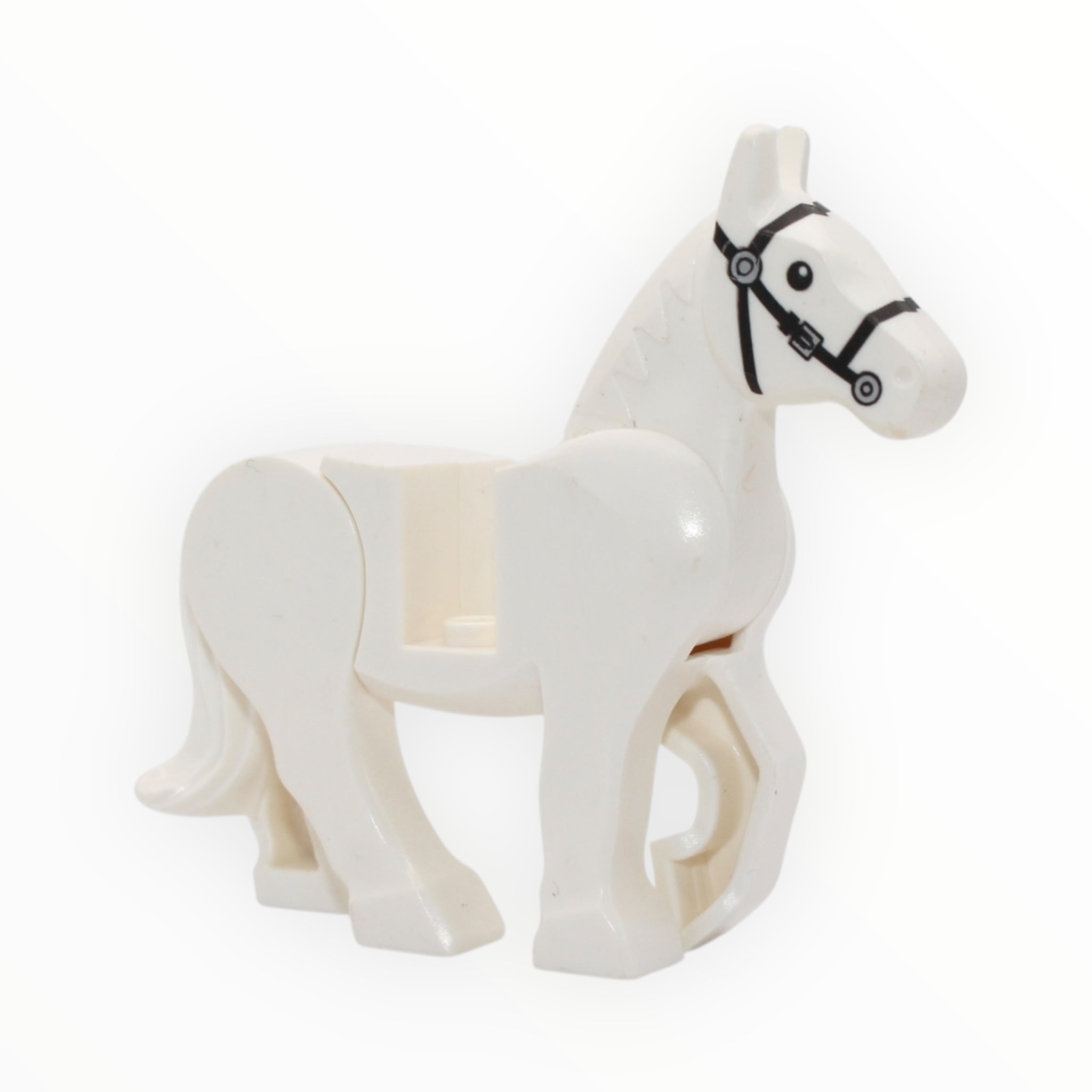 White Horse (single silver buckle on black bridle, 2019)