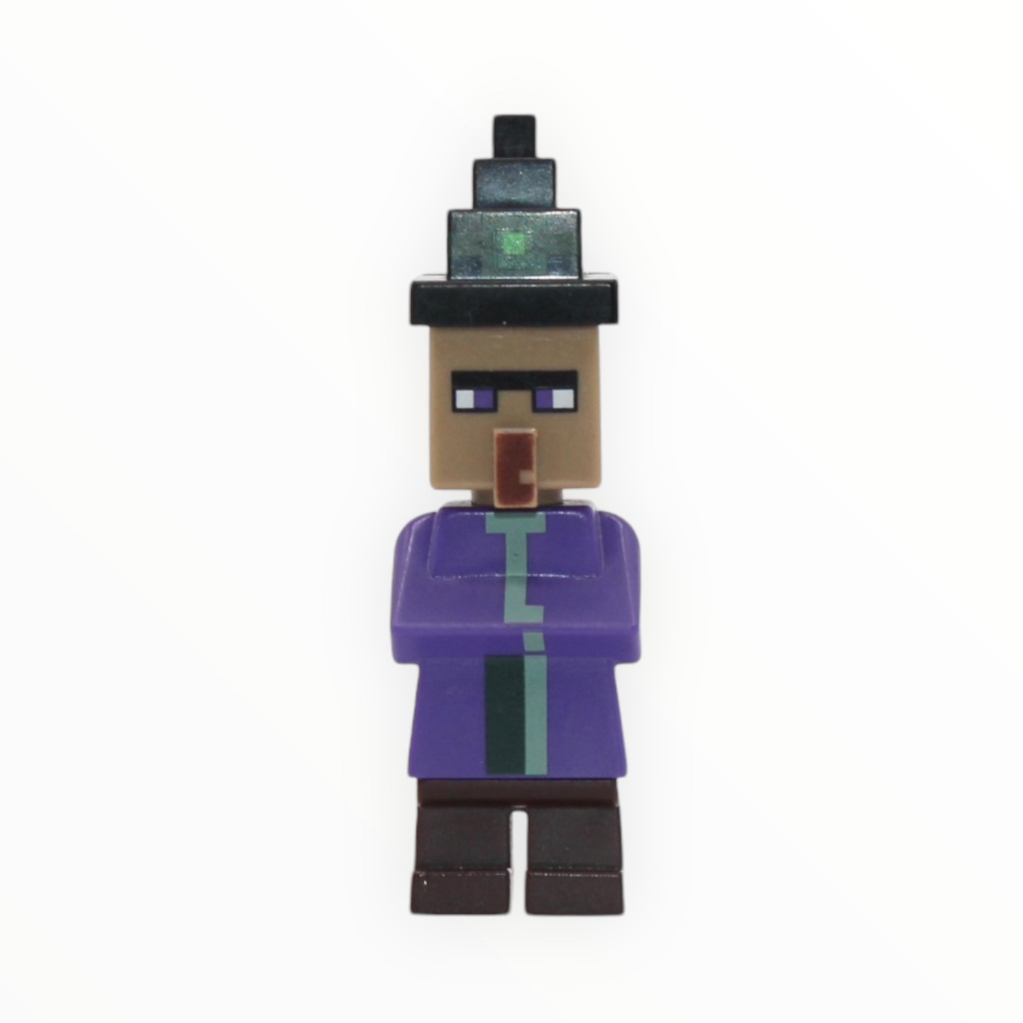 Minecraft Witch (printed hat fixed on head, 2017)