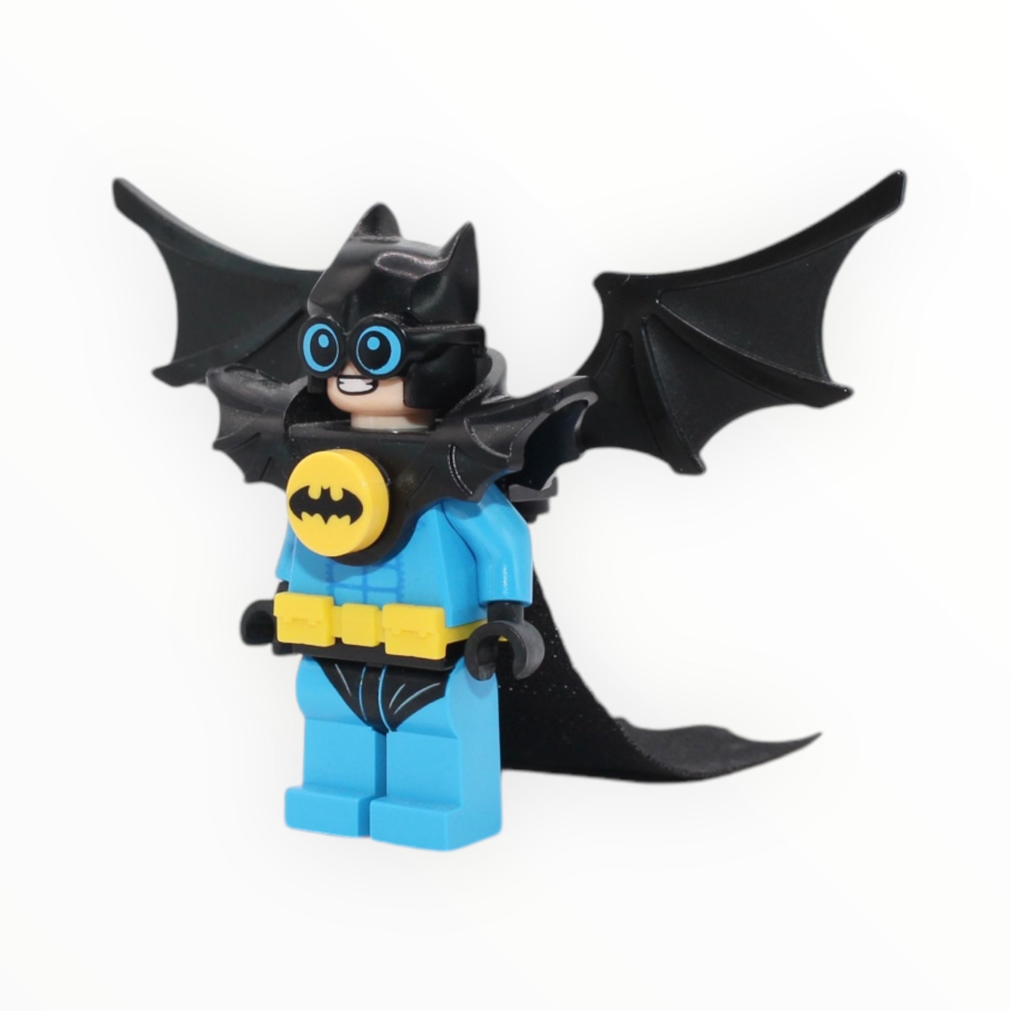 Nightwing (The LEGO Batman Movie)
