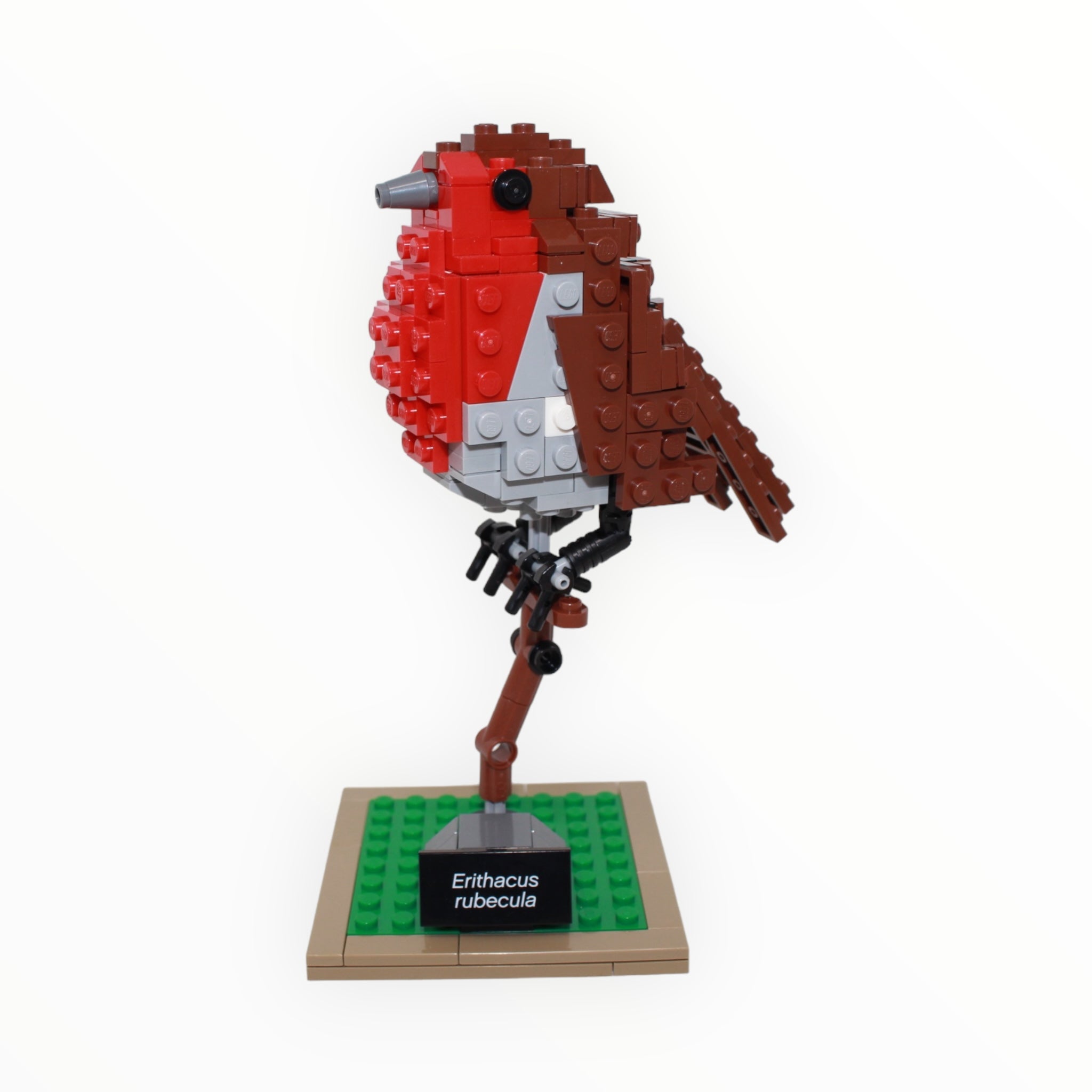 Used Set 21301 LEGO Ideas Birds