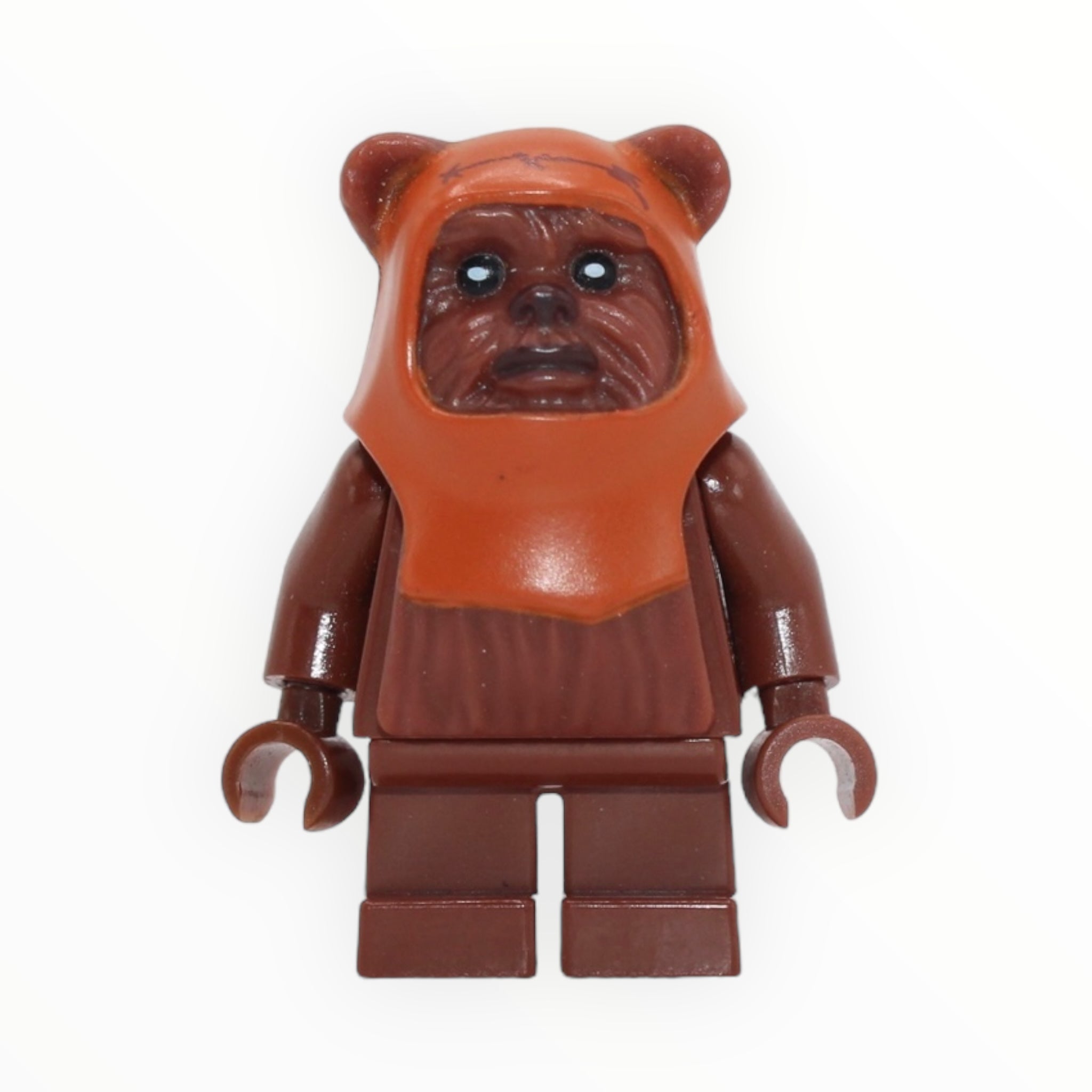 Wicket (reddish brown with dark orange hood, 2009)