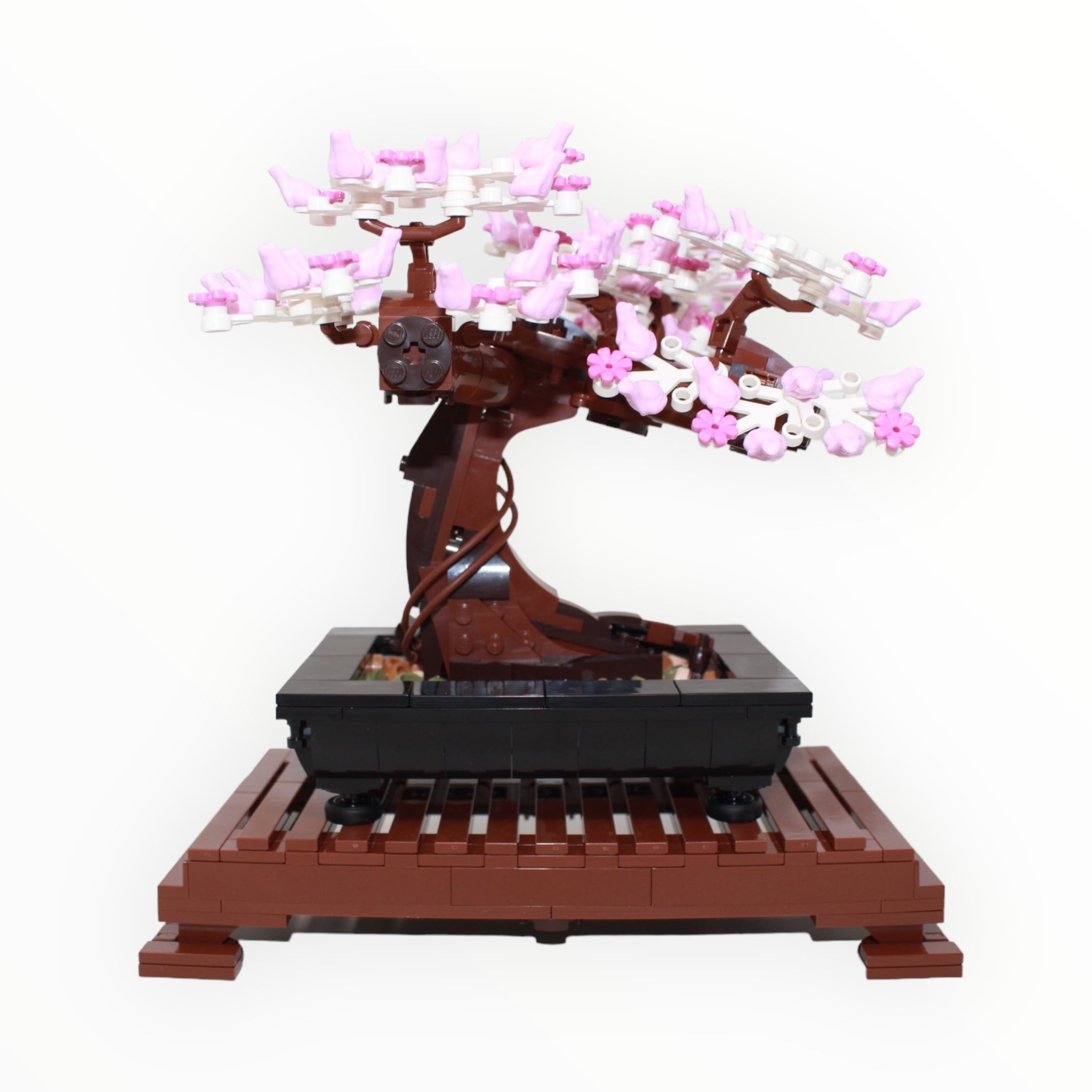 Used Set 10281 Botanical Collection Bonsai Tree