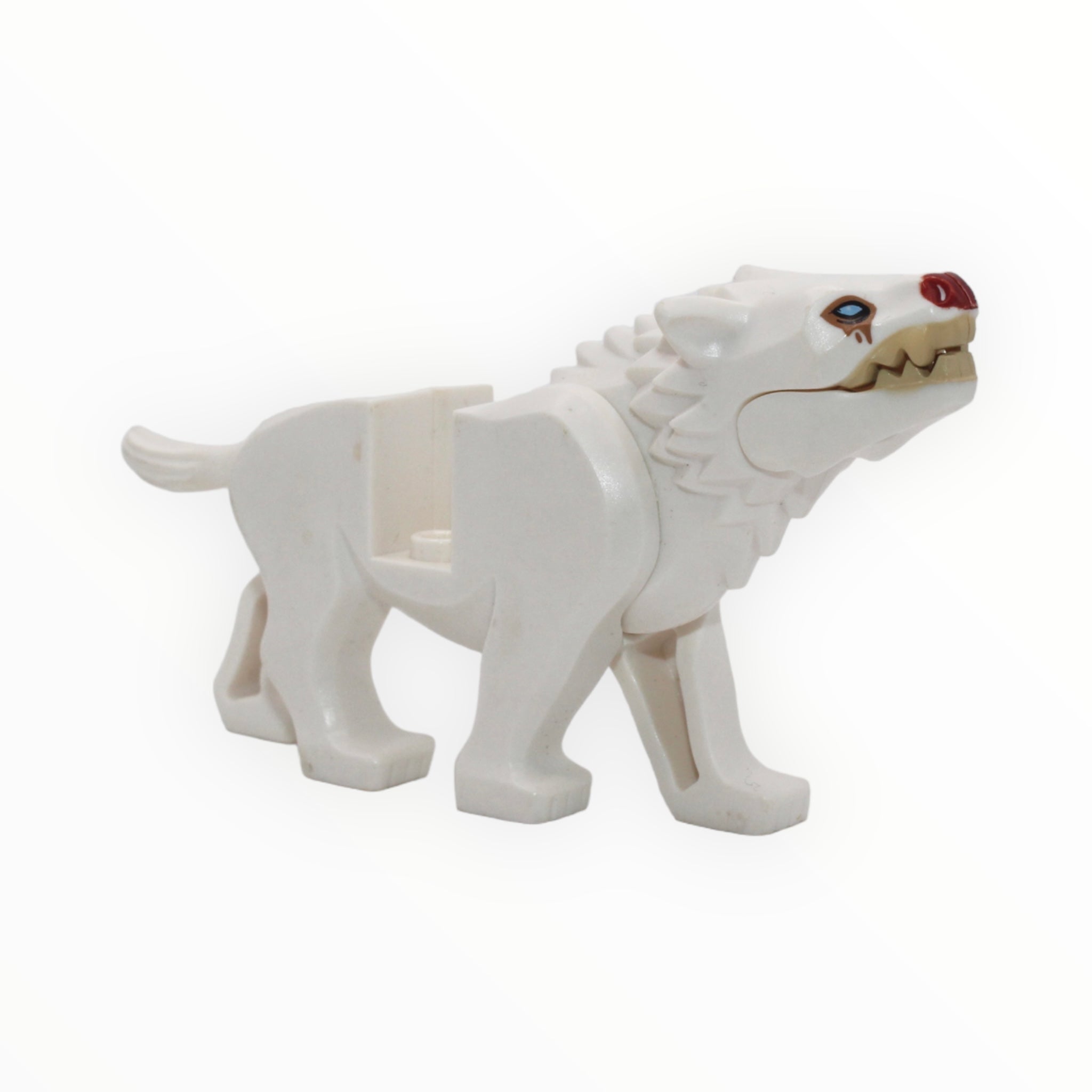 a small white dog is sitting on a bench