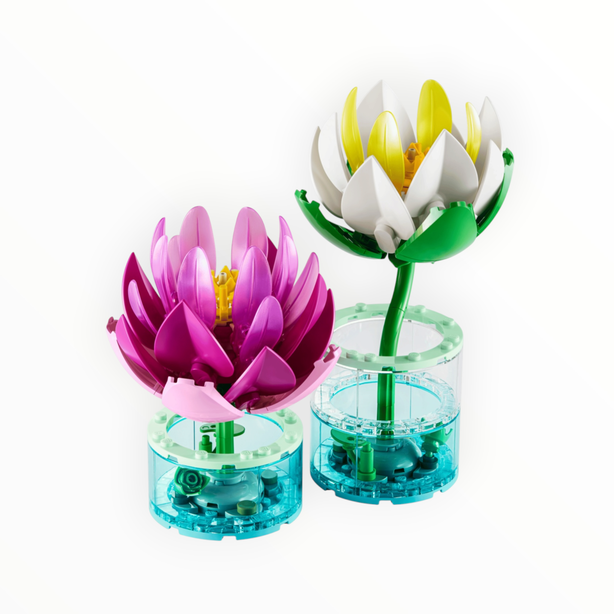 115111 Botanicals Water Lillies