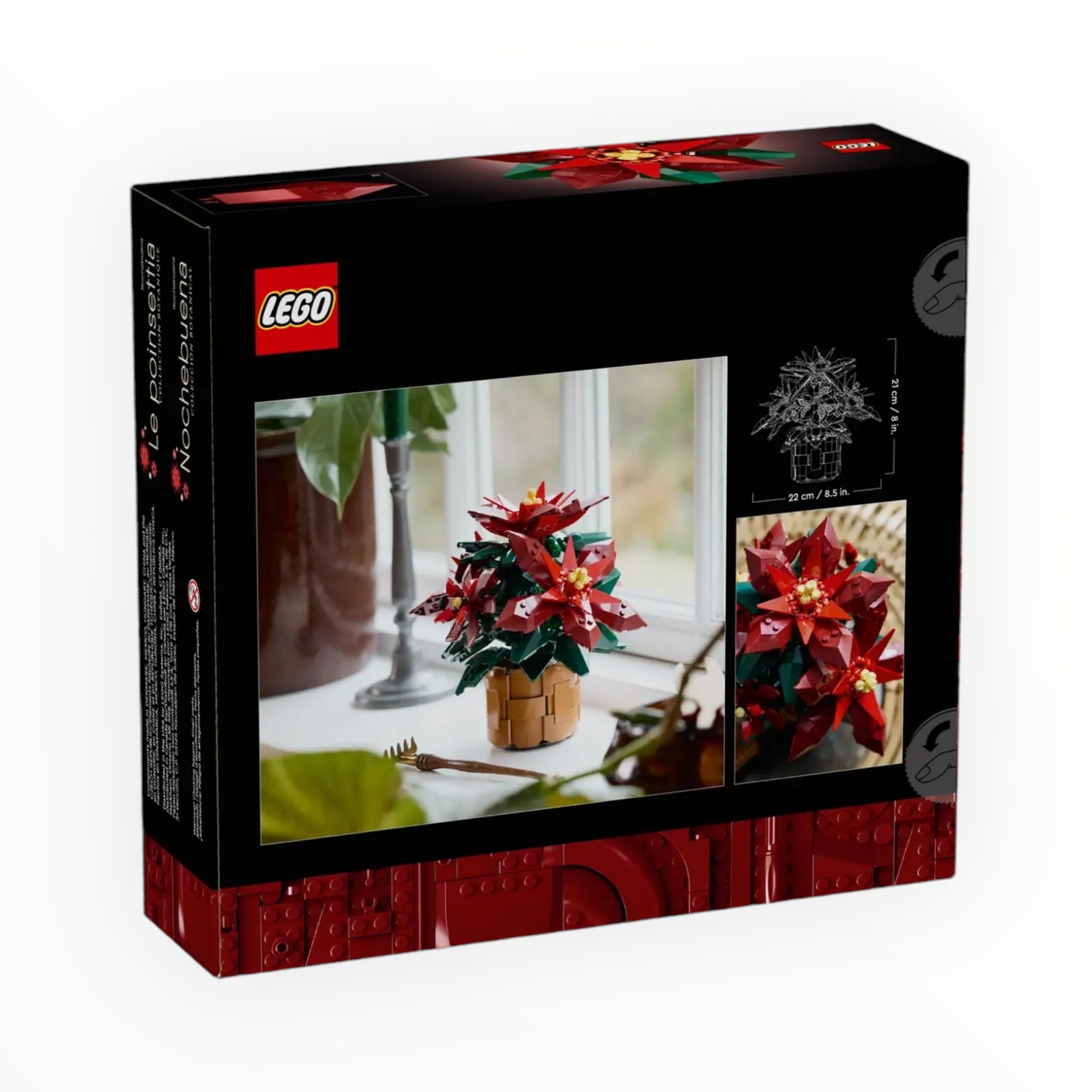 10370 Icons Poinsettia