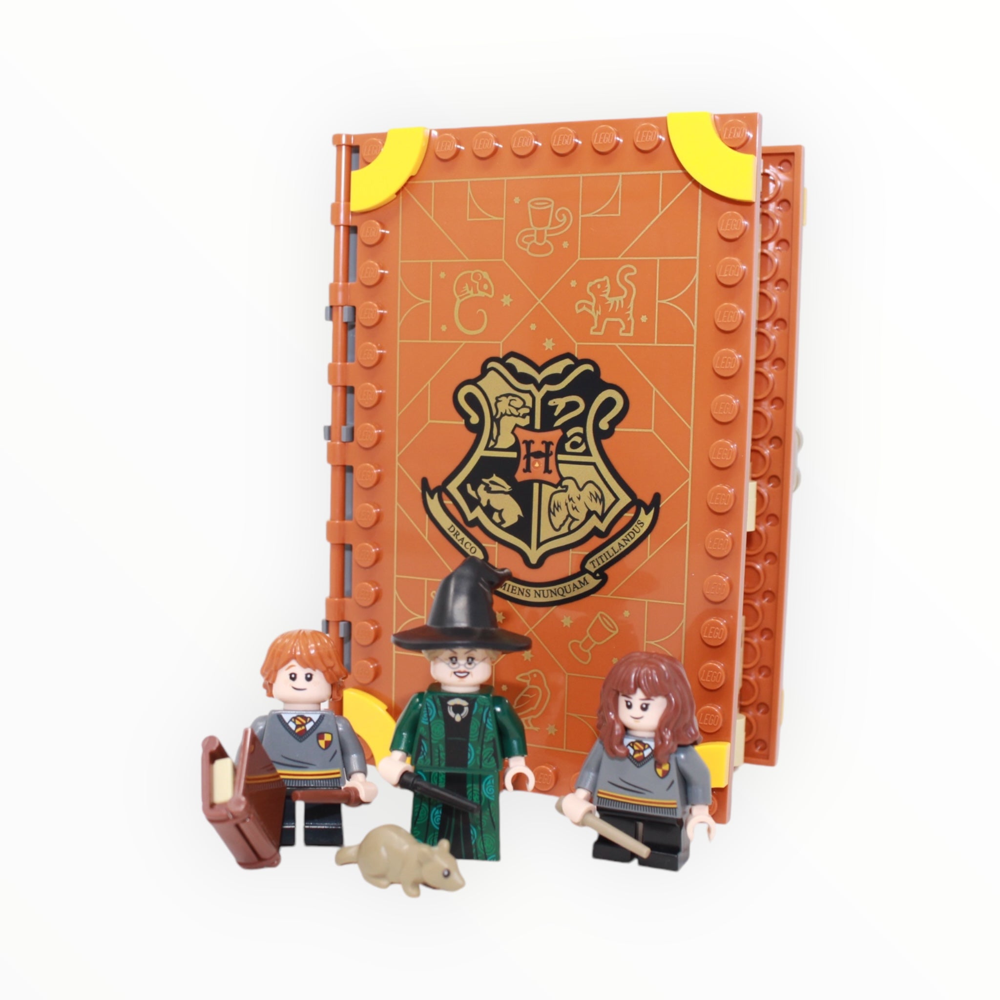 Used Set 76382 Harry Potter Hogwarts Moment: Transfiguration Class