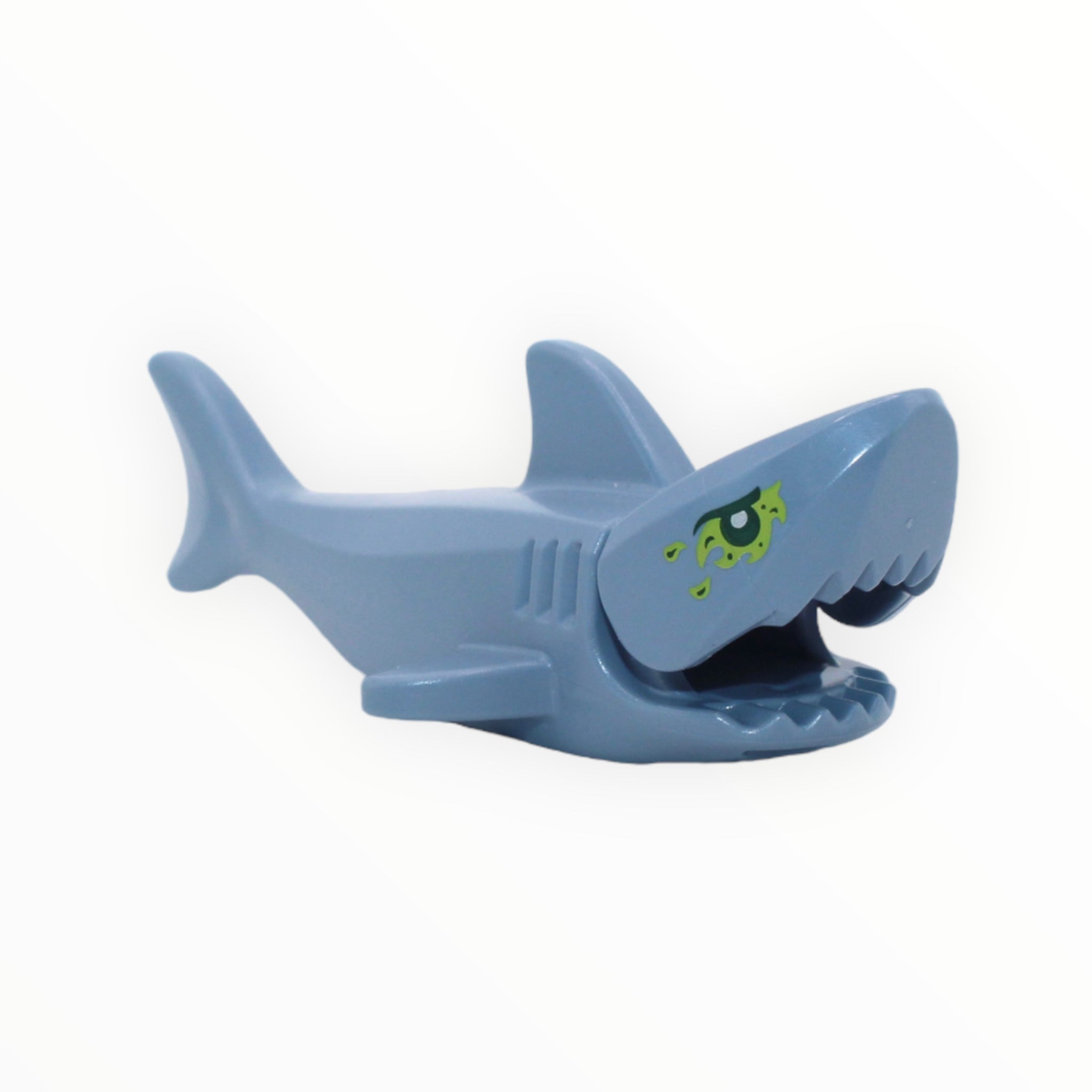 Sand Blue Shark (gills, eye slime pattern)