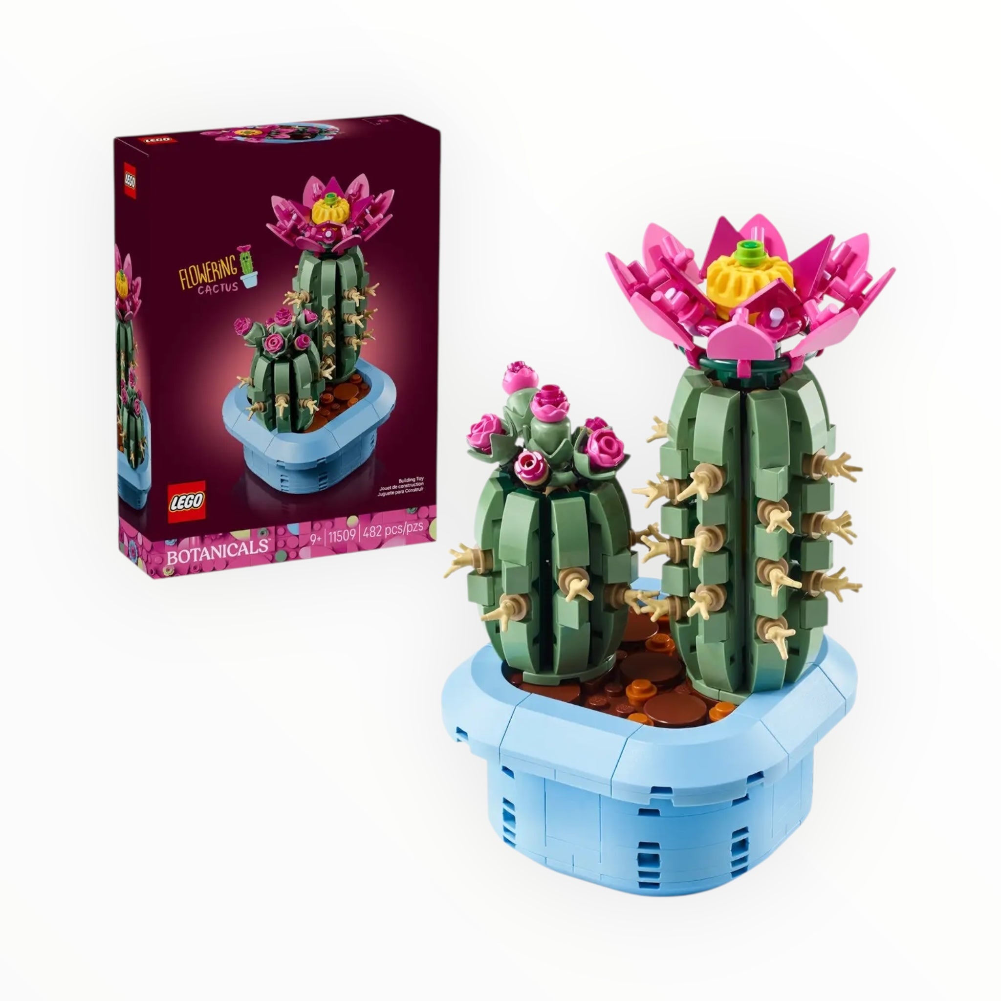 11509 Botanicals Flowering Cactus