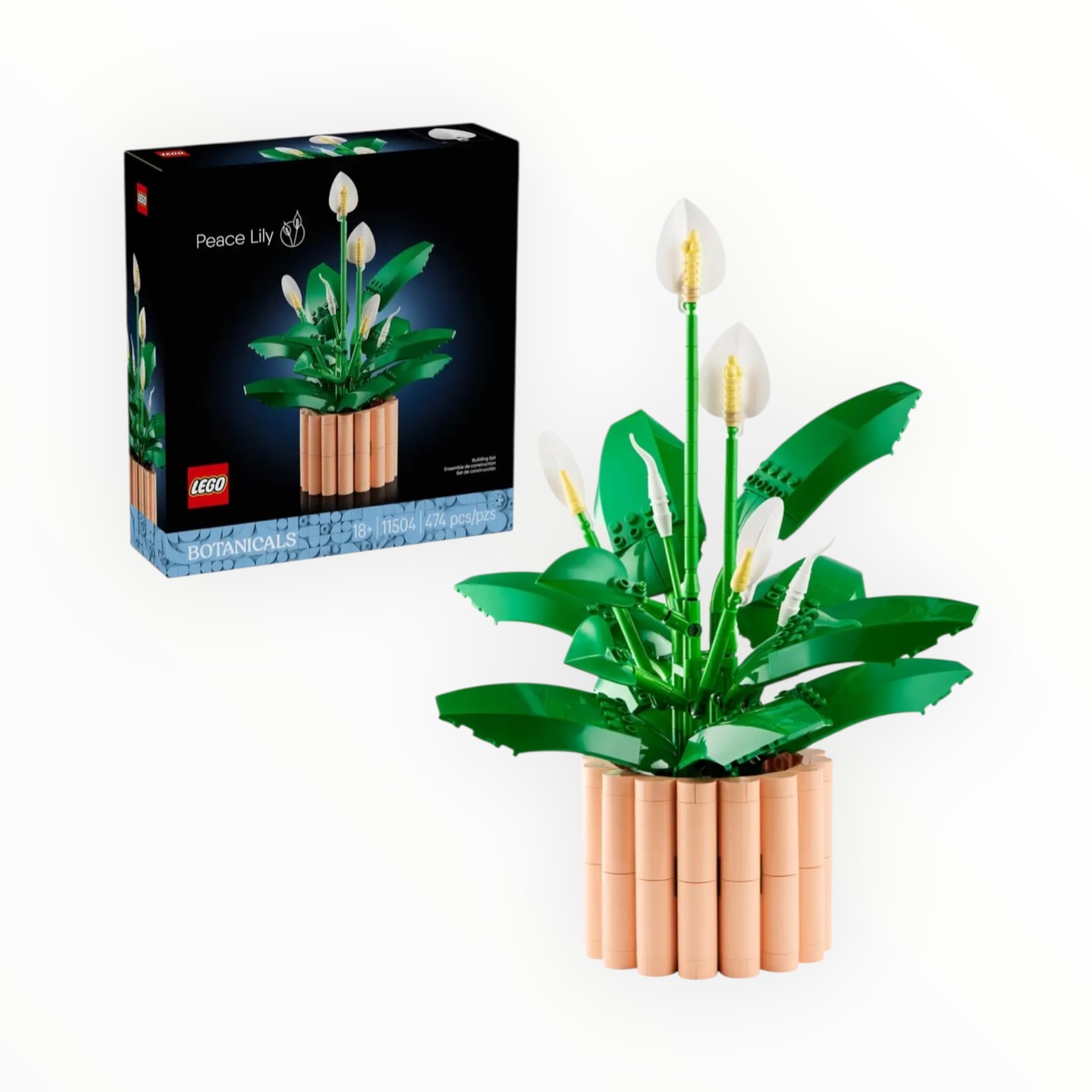 11504 Botanicals Peace Lily