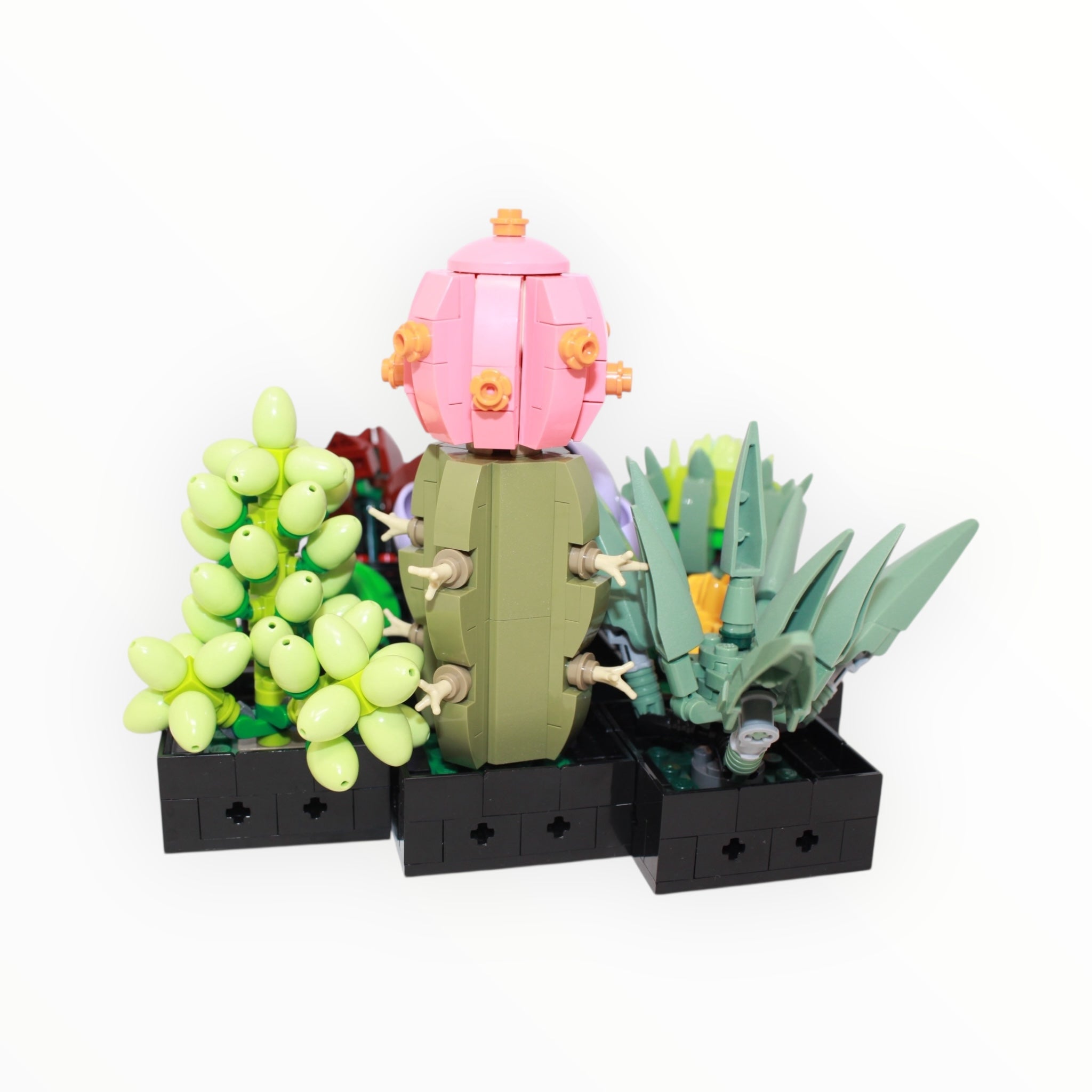 Used Set 10309 Botanical Collection Succulents