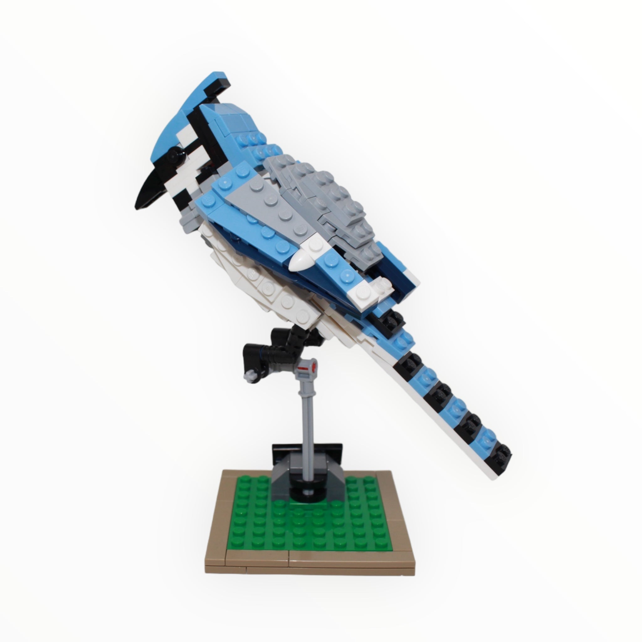 Used Set 21301 LEGO Ideas Birds