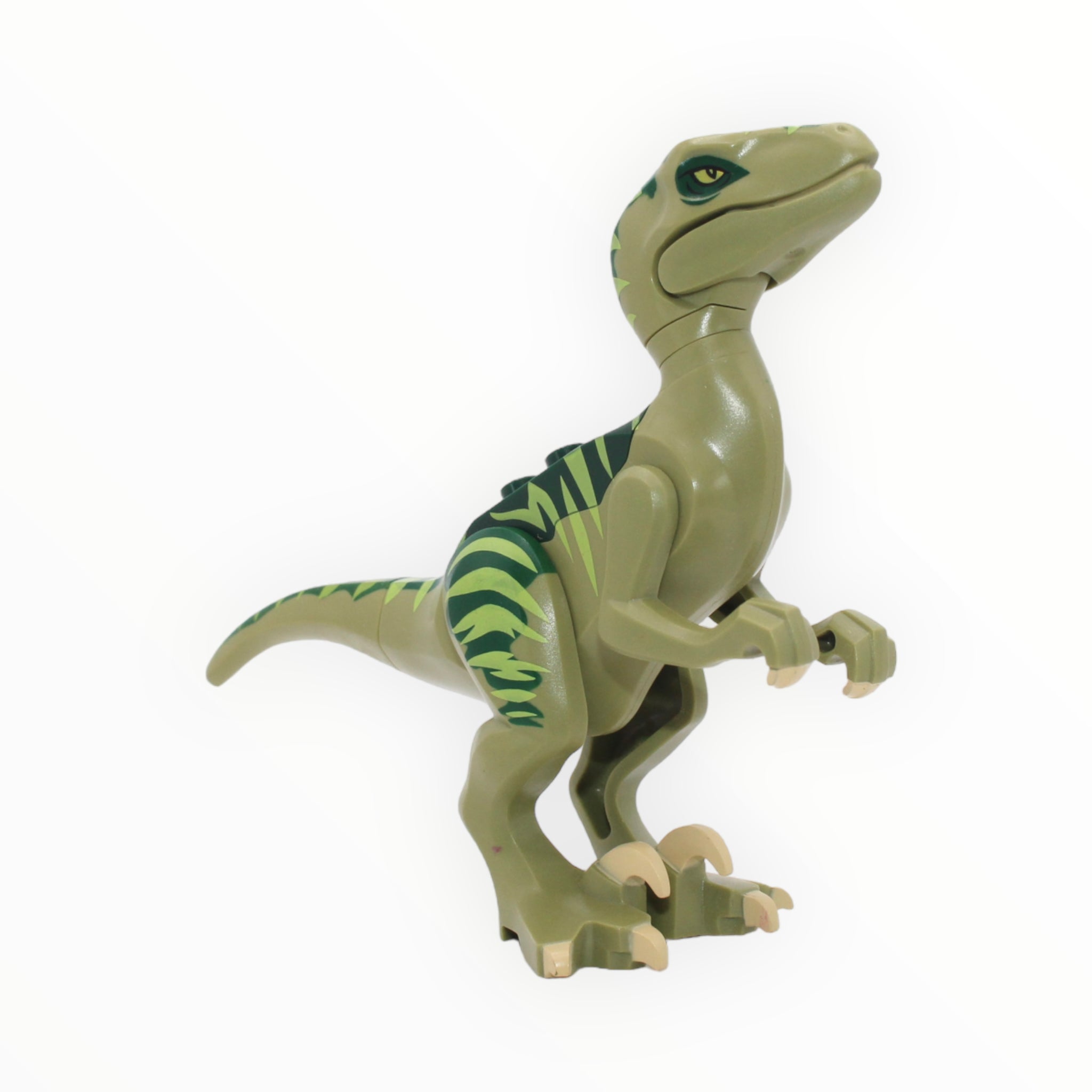 Green Striped Velociraptor (olive green with dark green back)