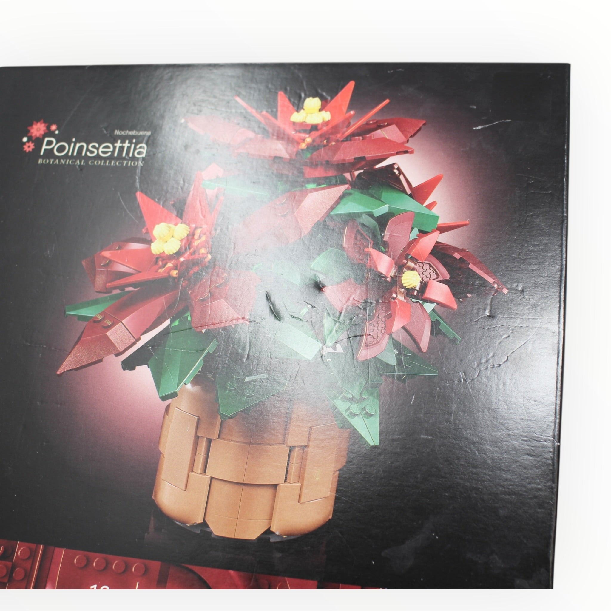 10370 Icons Poinsettia (damaged box)