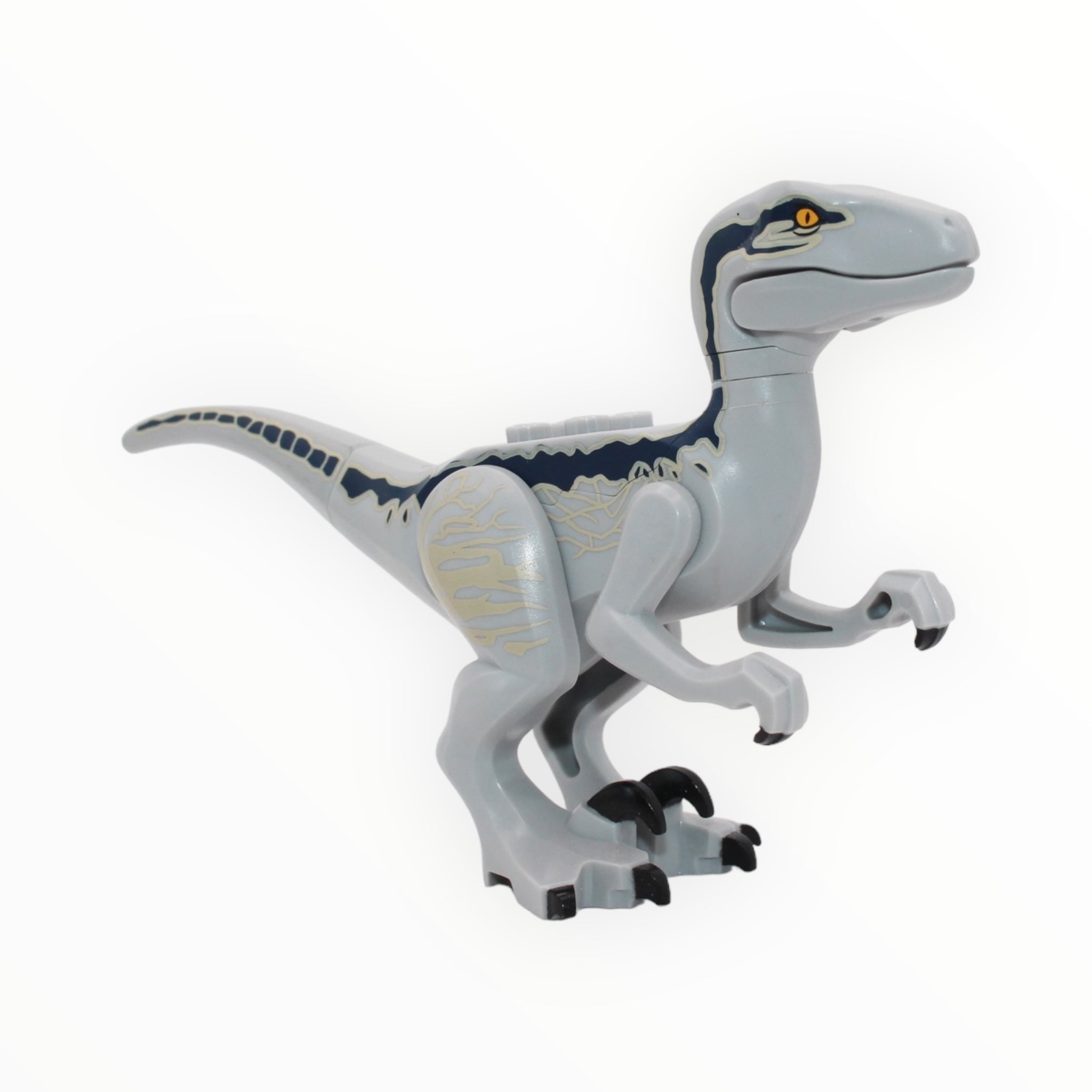 Blue (light bluish gray with blue and tan markings, 2022)