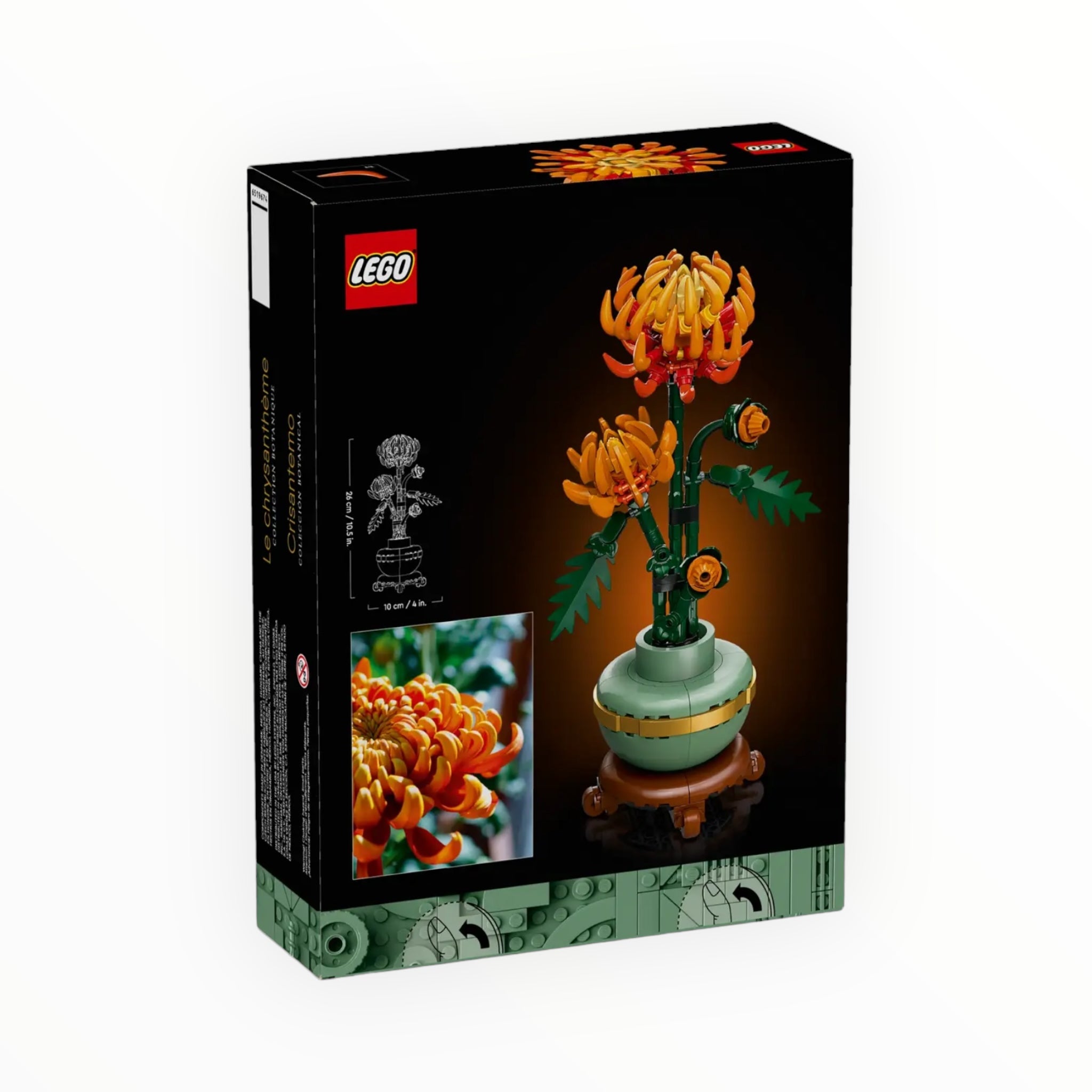 10368 Botanical Collection Chrysanthemum Flower