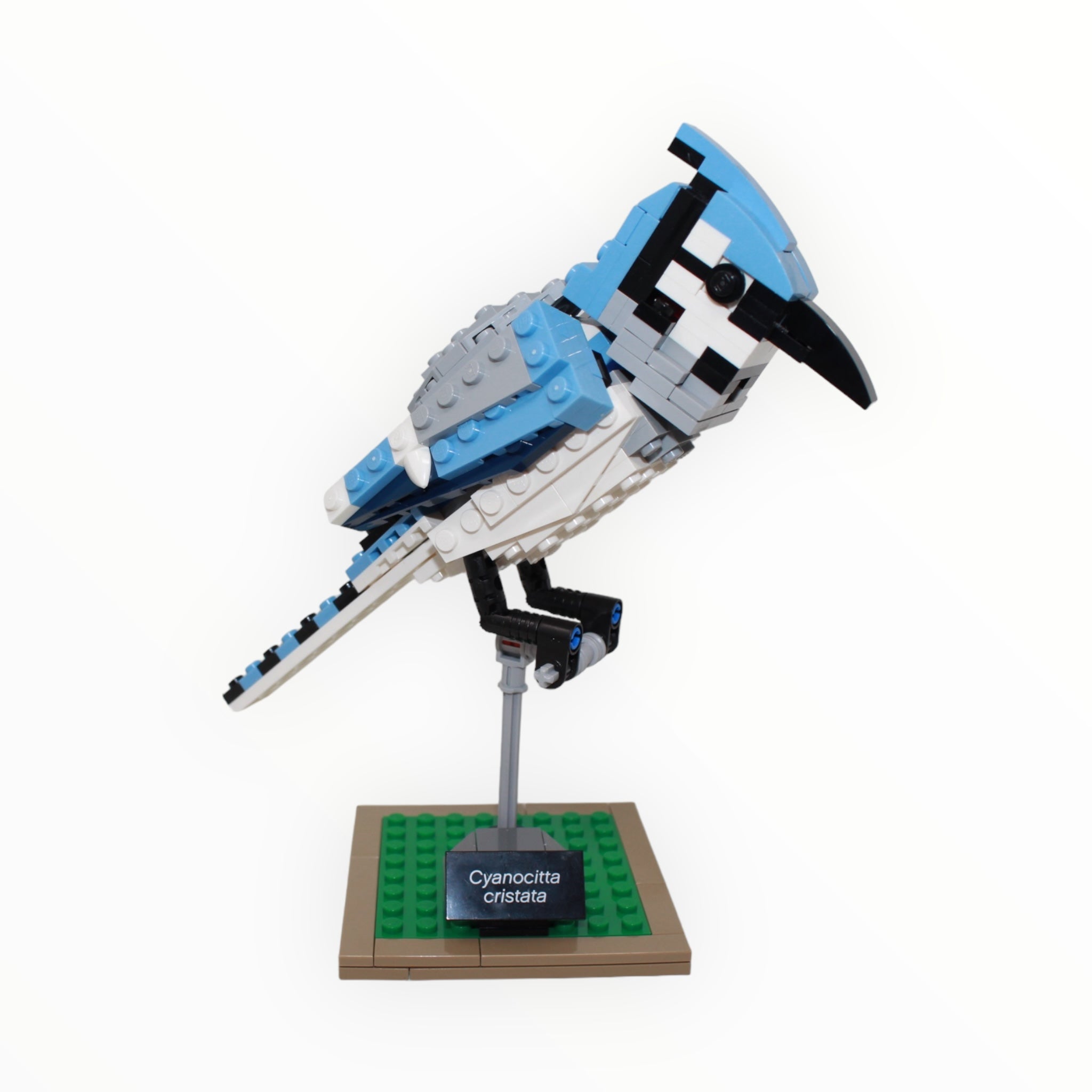 Used Set 21301 LEGO Ideas Birds