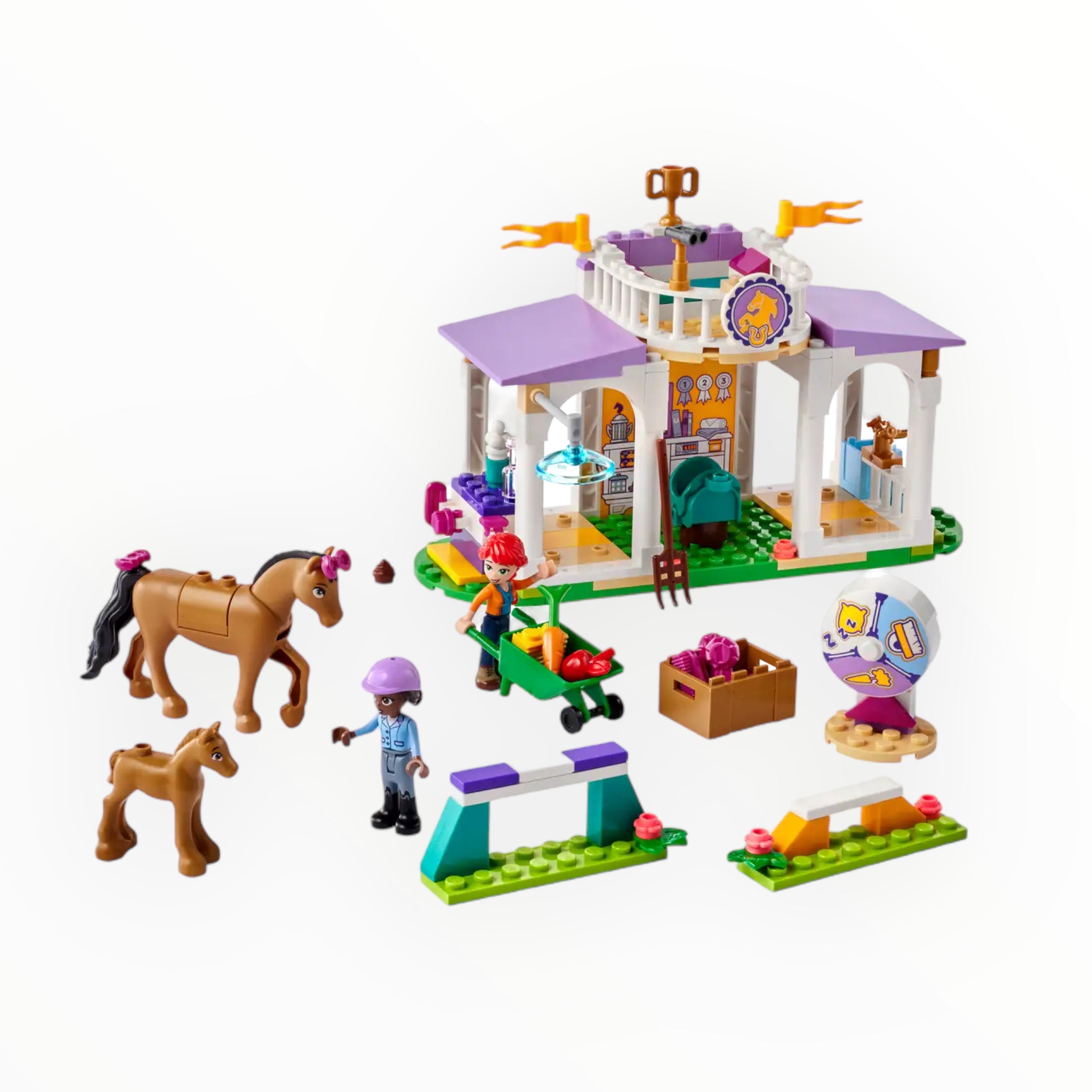41746 Friends Horse Training