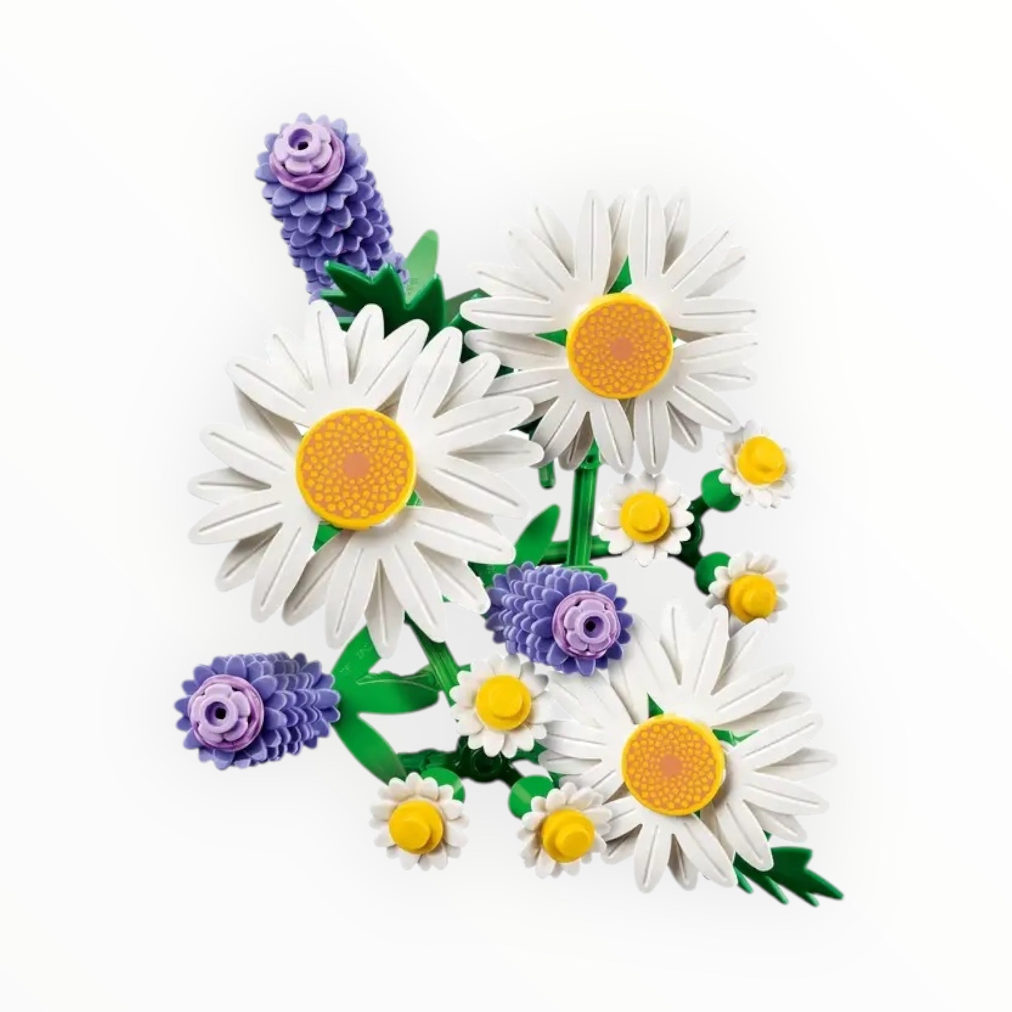 11508 Botanicals Daisies