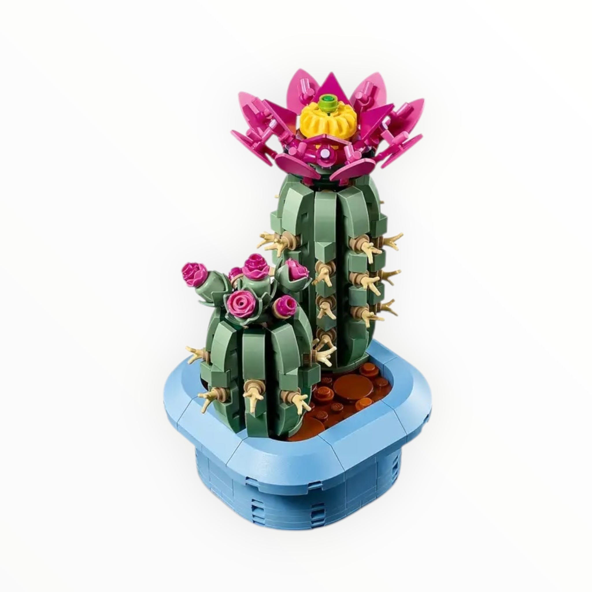 11509 Botanicals Flowering Cactus