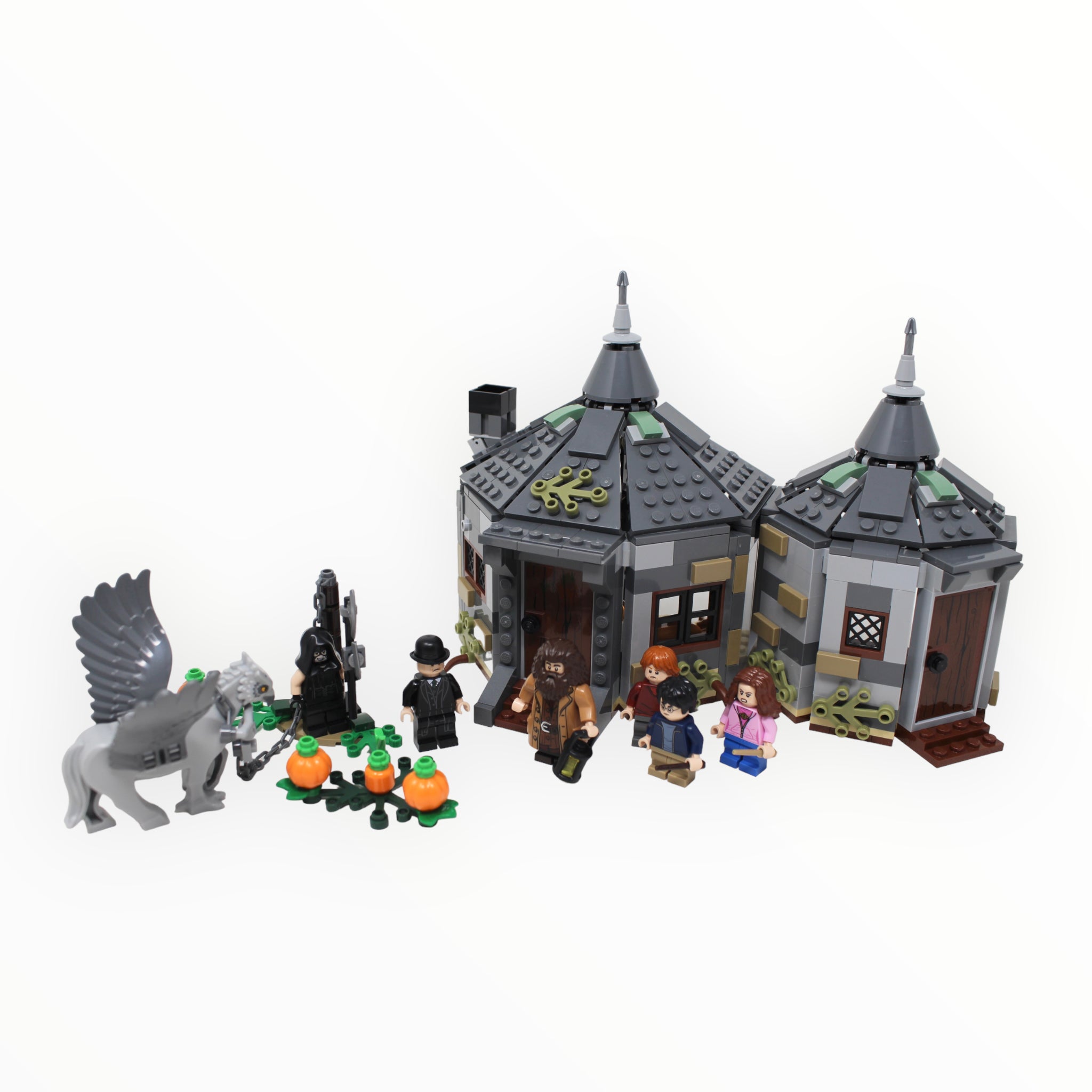 Used Set 75947 Harry Potter Hagrids Hut: Buckbeaks Rescue