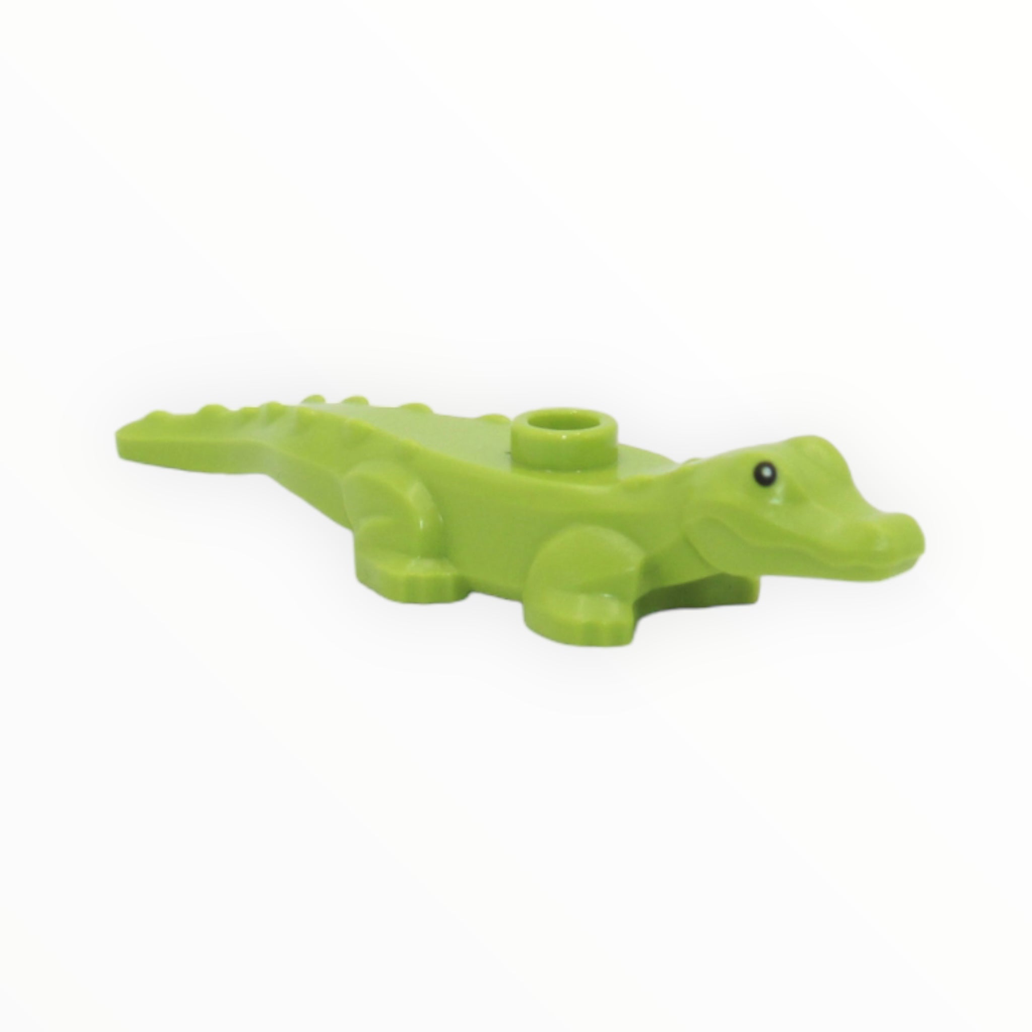 Lime Green Alligator / Crocodile Baby