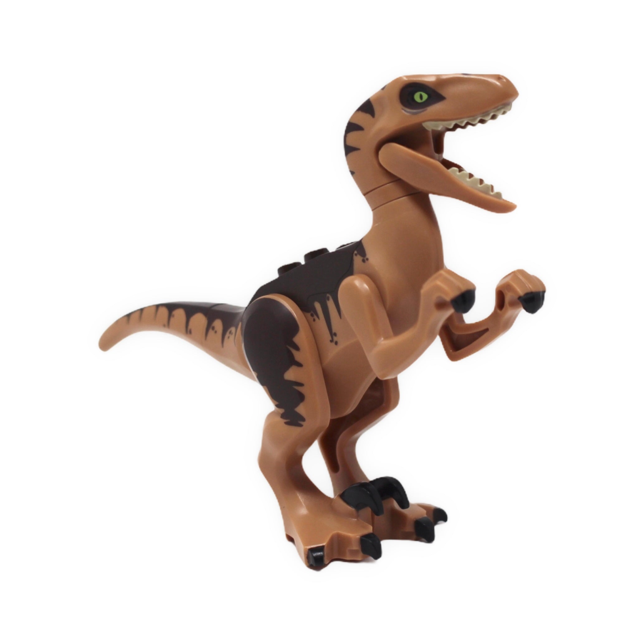 Dark Brown Velociraptor (medium nougat underside, 2018)