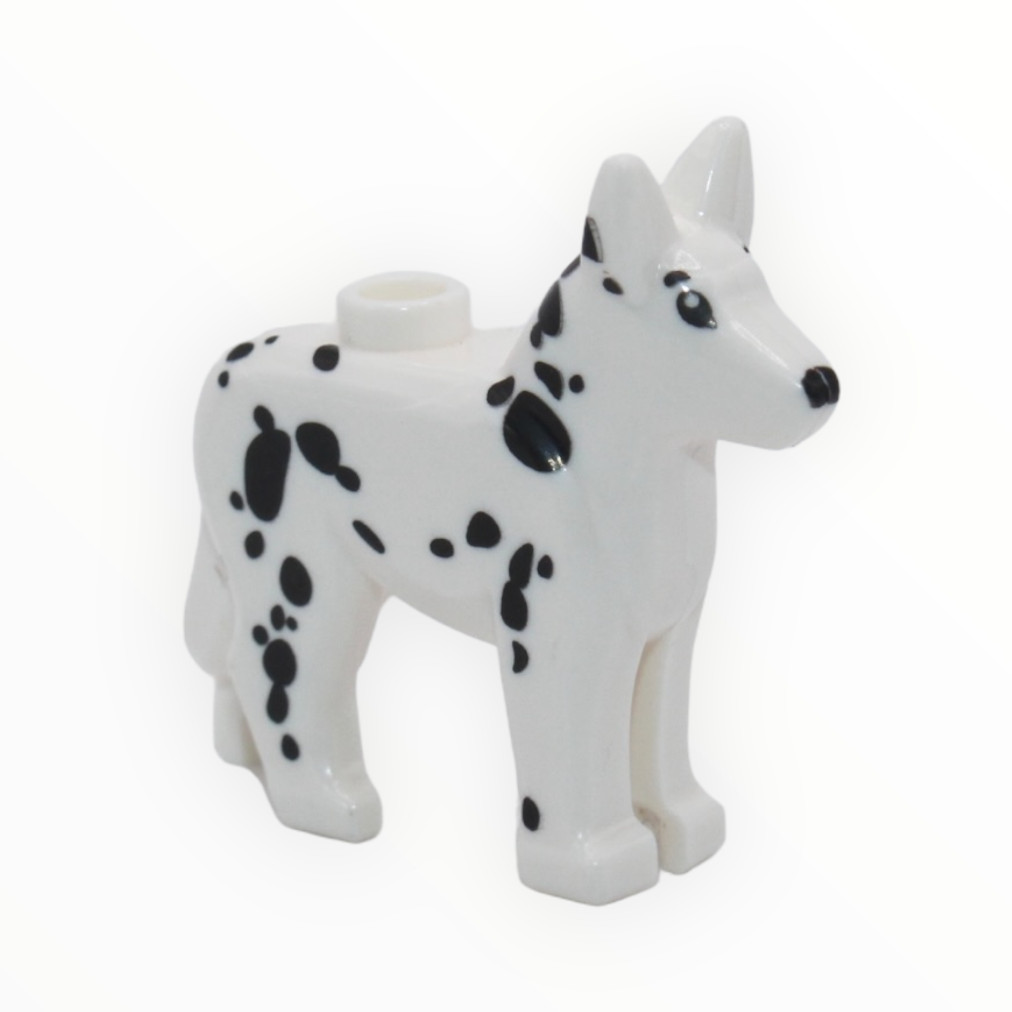 German Shepherd (spotted)
