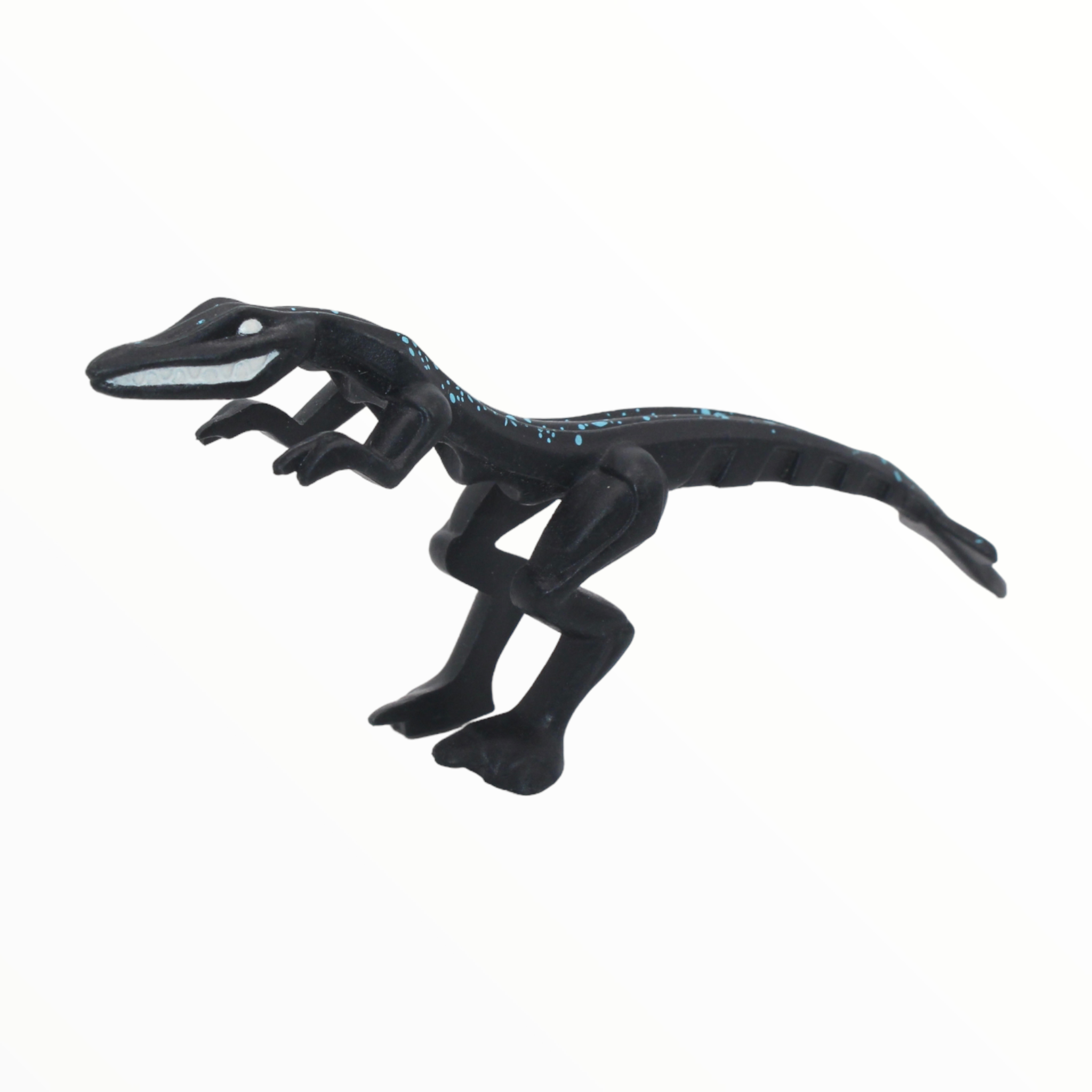 Black Mutant Lizard with blue spots