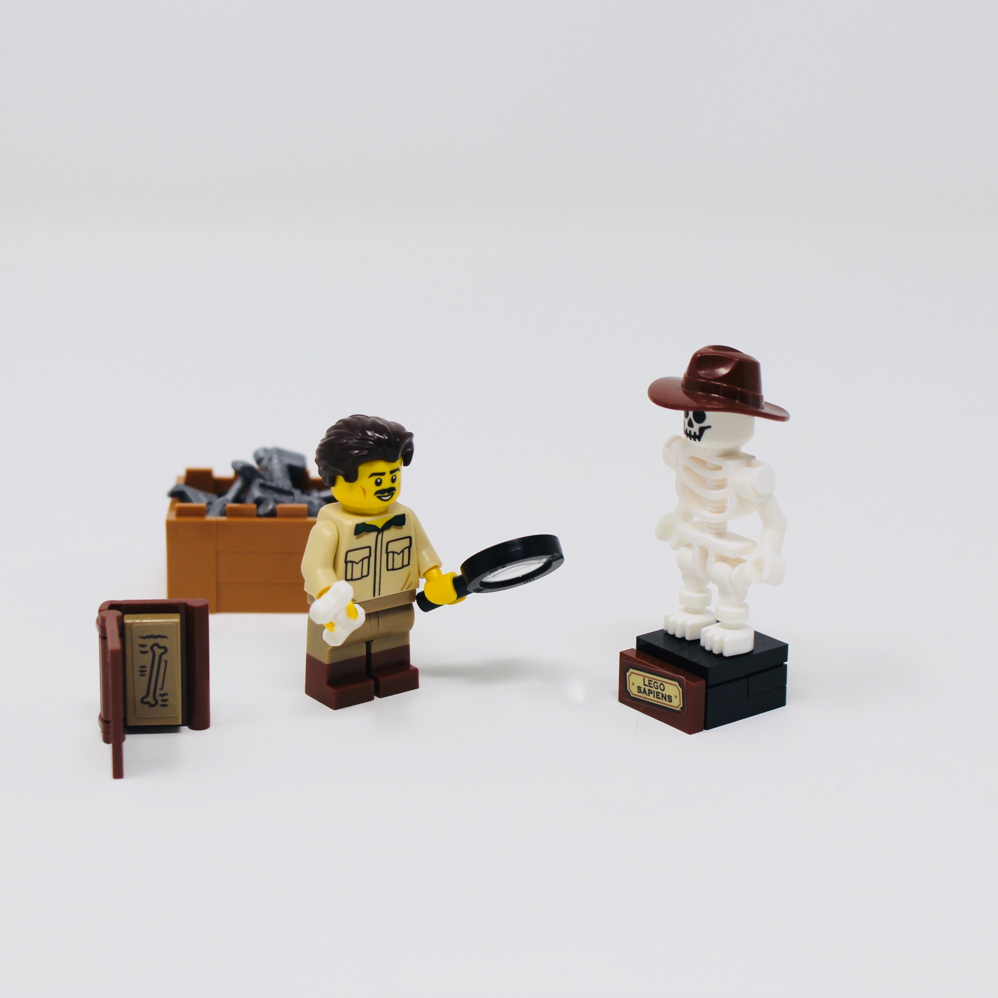 Used Set 21320 LEGO Ideas Dinosaur Fossils