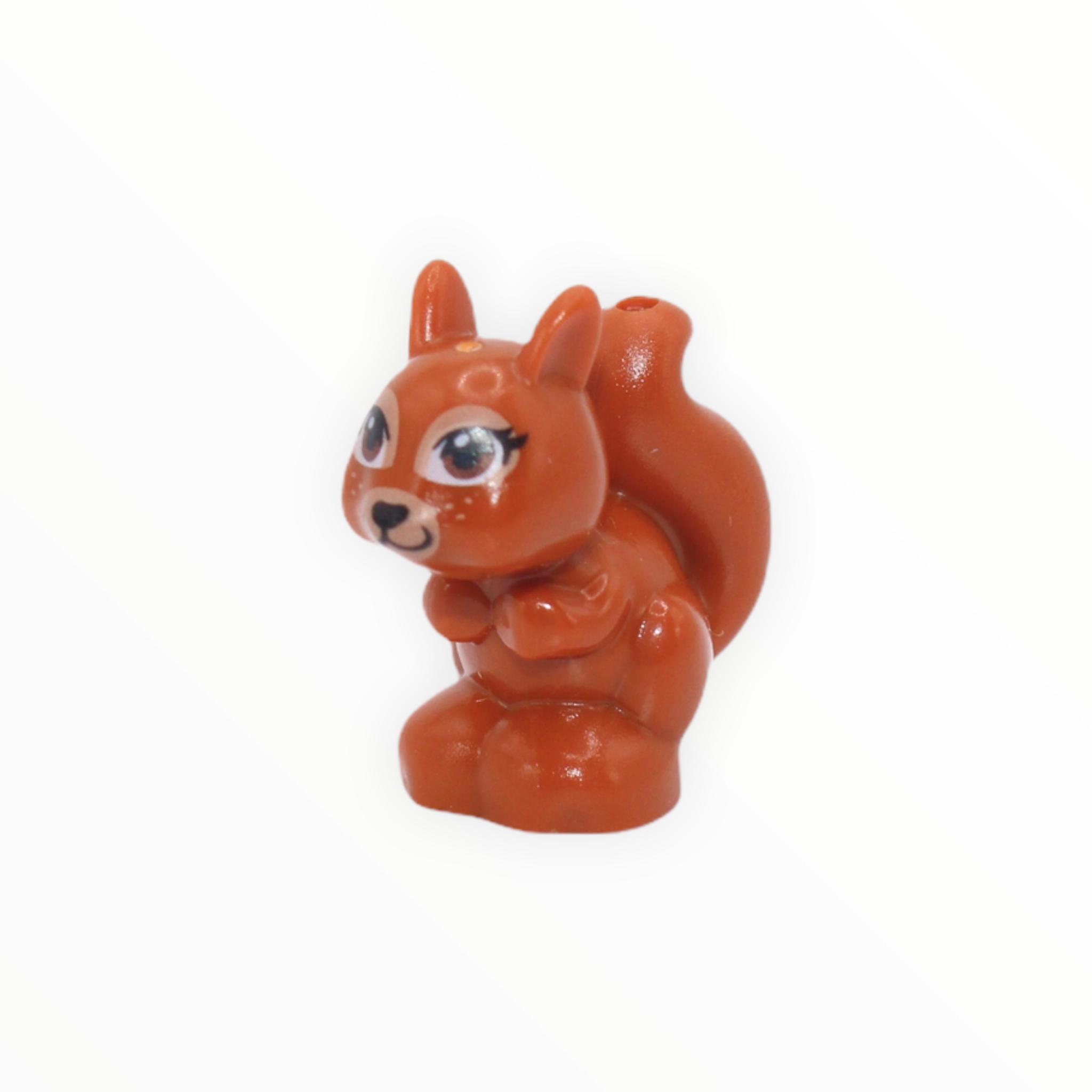 Dark Orange Squirrel (brown eyes, Friends)