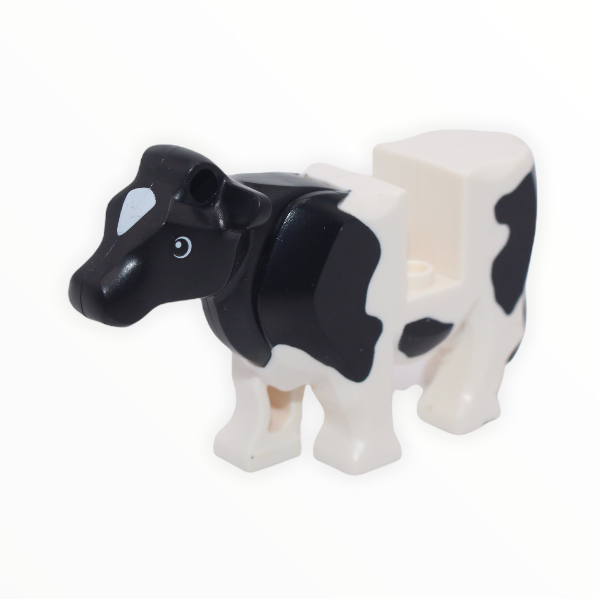 White Cow with Black Spots