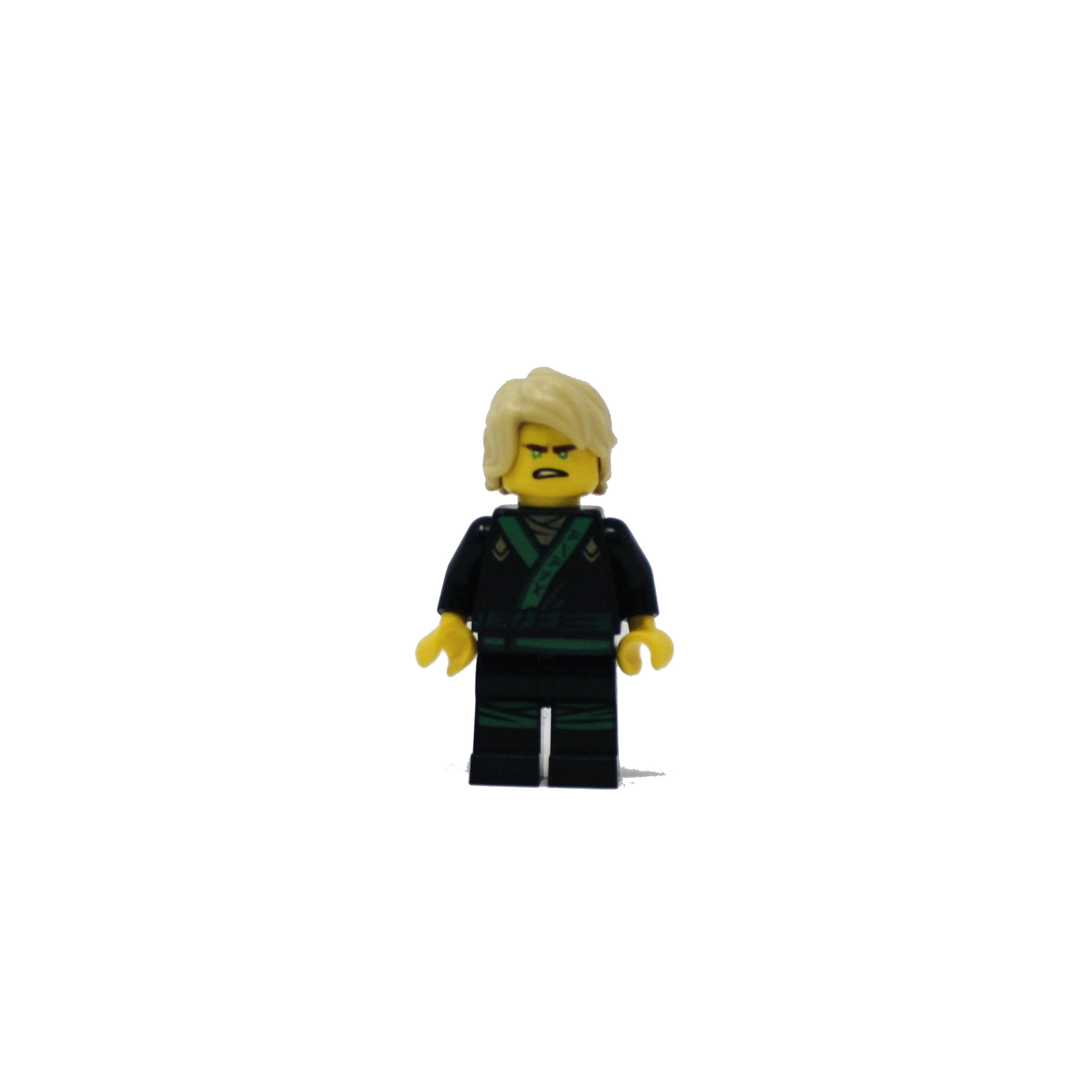 Lloyd (black and green gi)