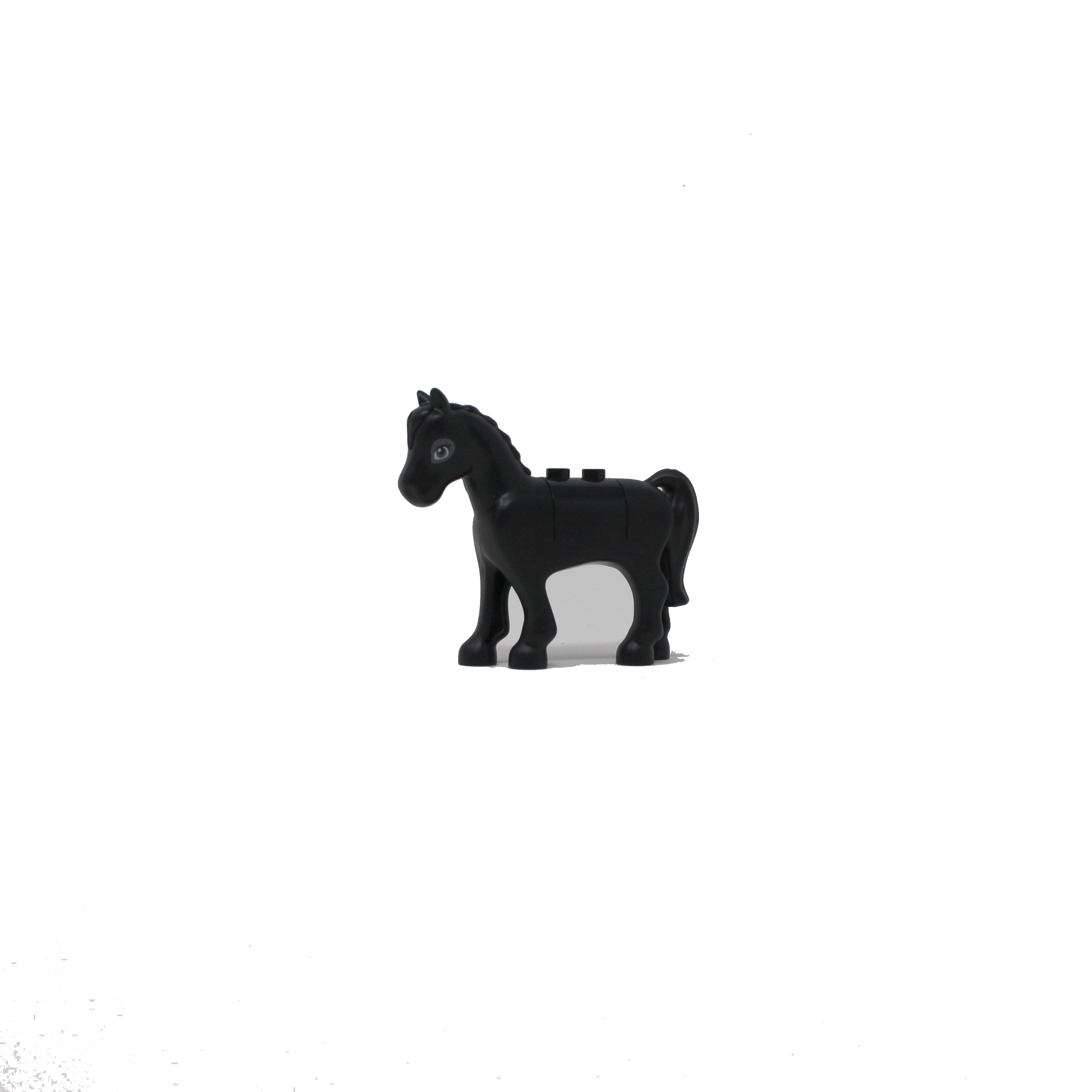 Black Horse (Friends, grey eye pattern)