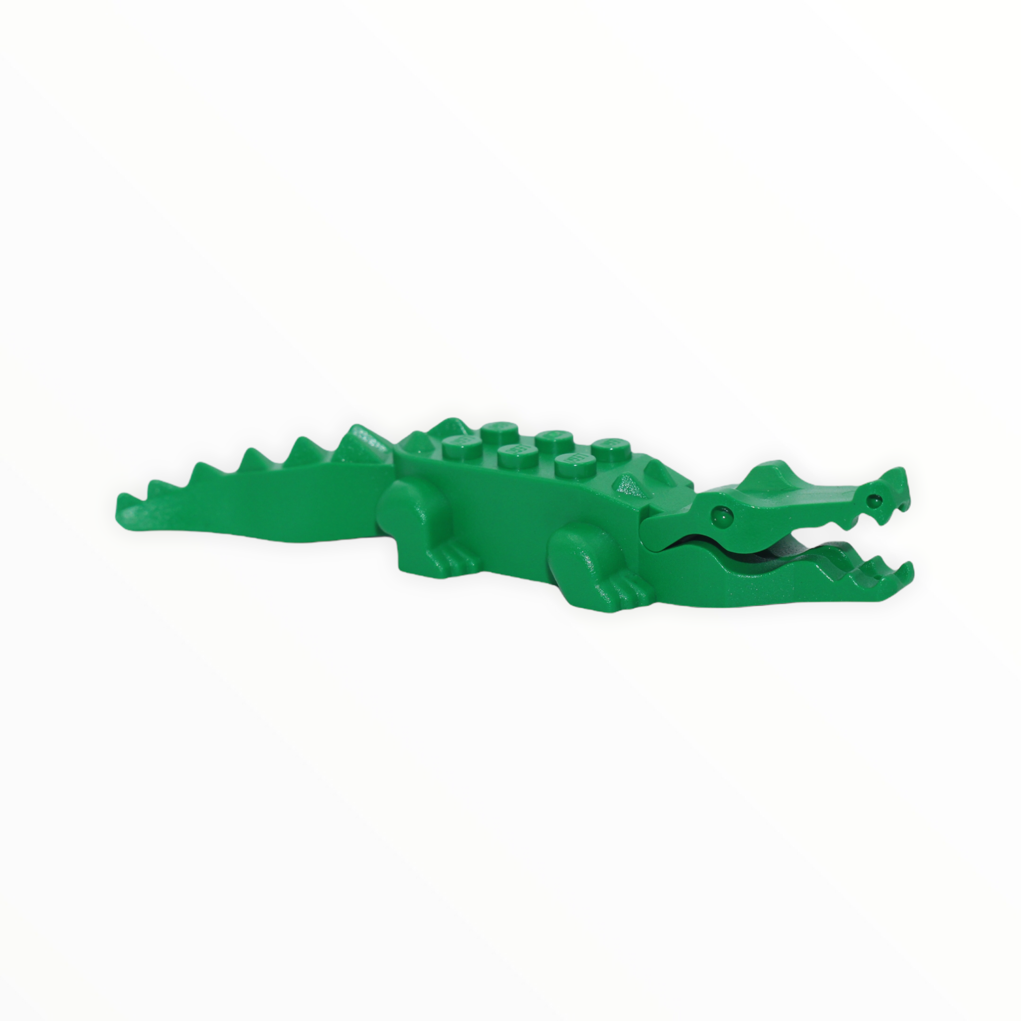 Green Alligator / Crocodile