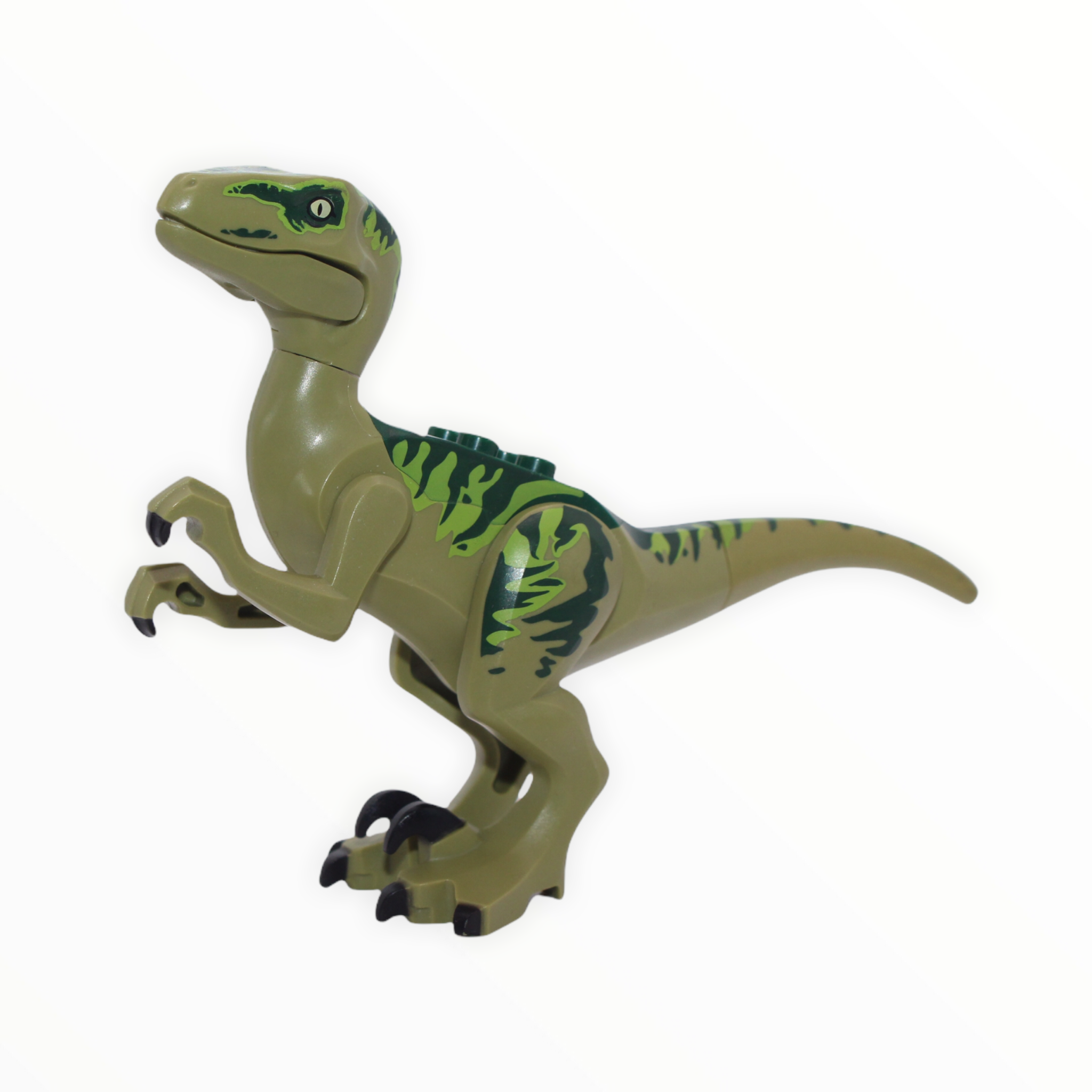 Charlie (olive green and dark green velociraptor)
