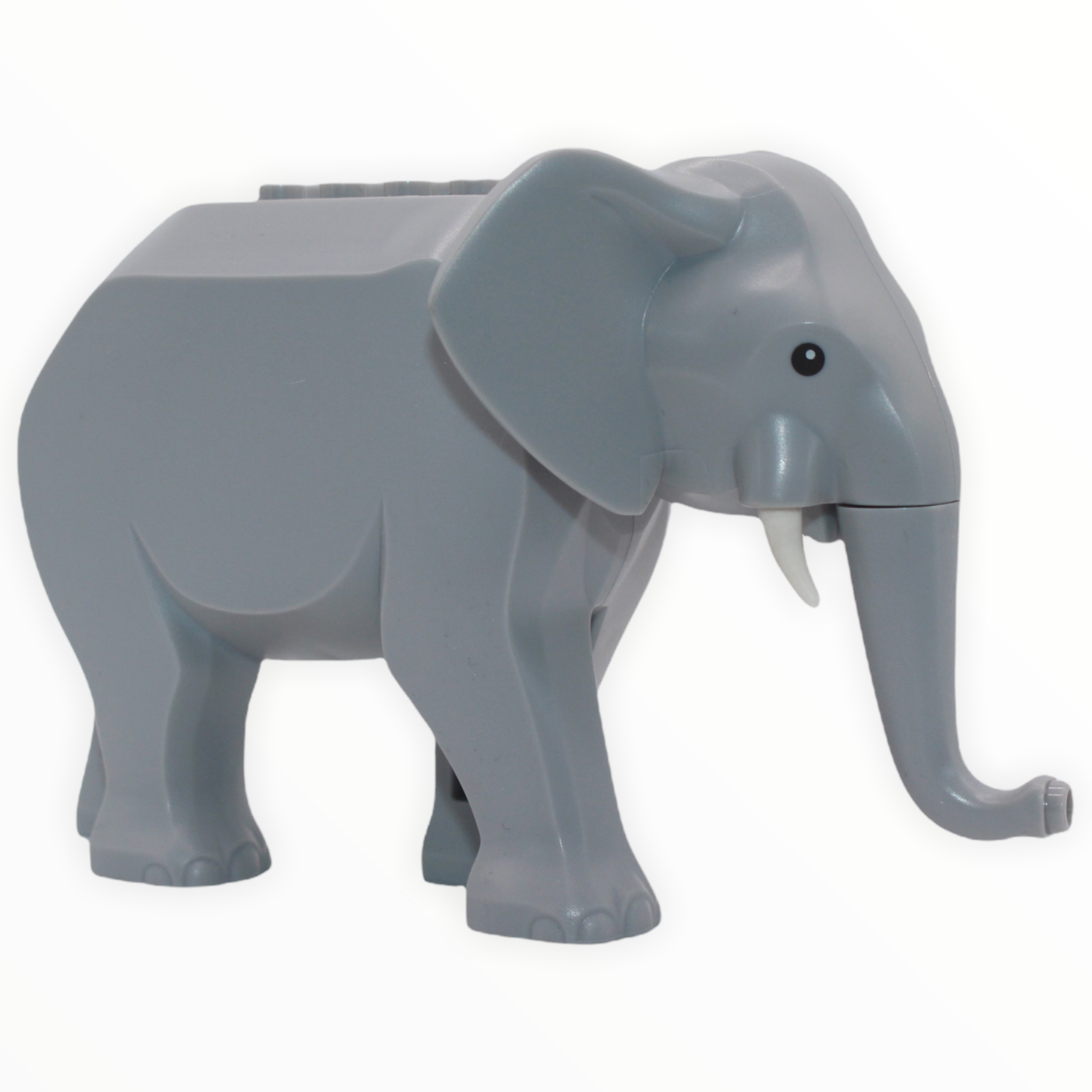Elephant (small tusks, 2021)