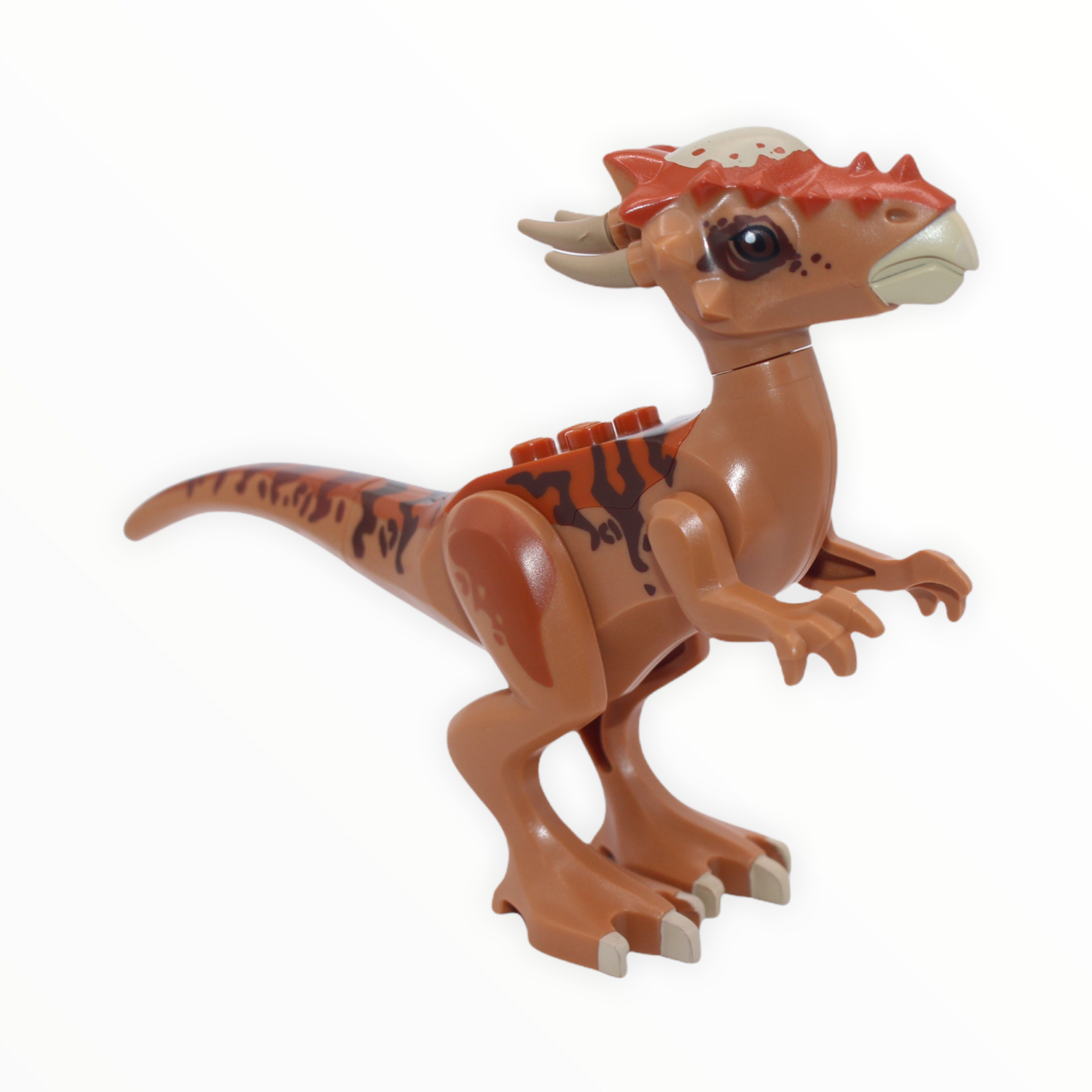 Stygimoloch