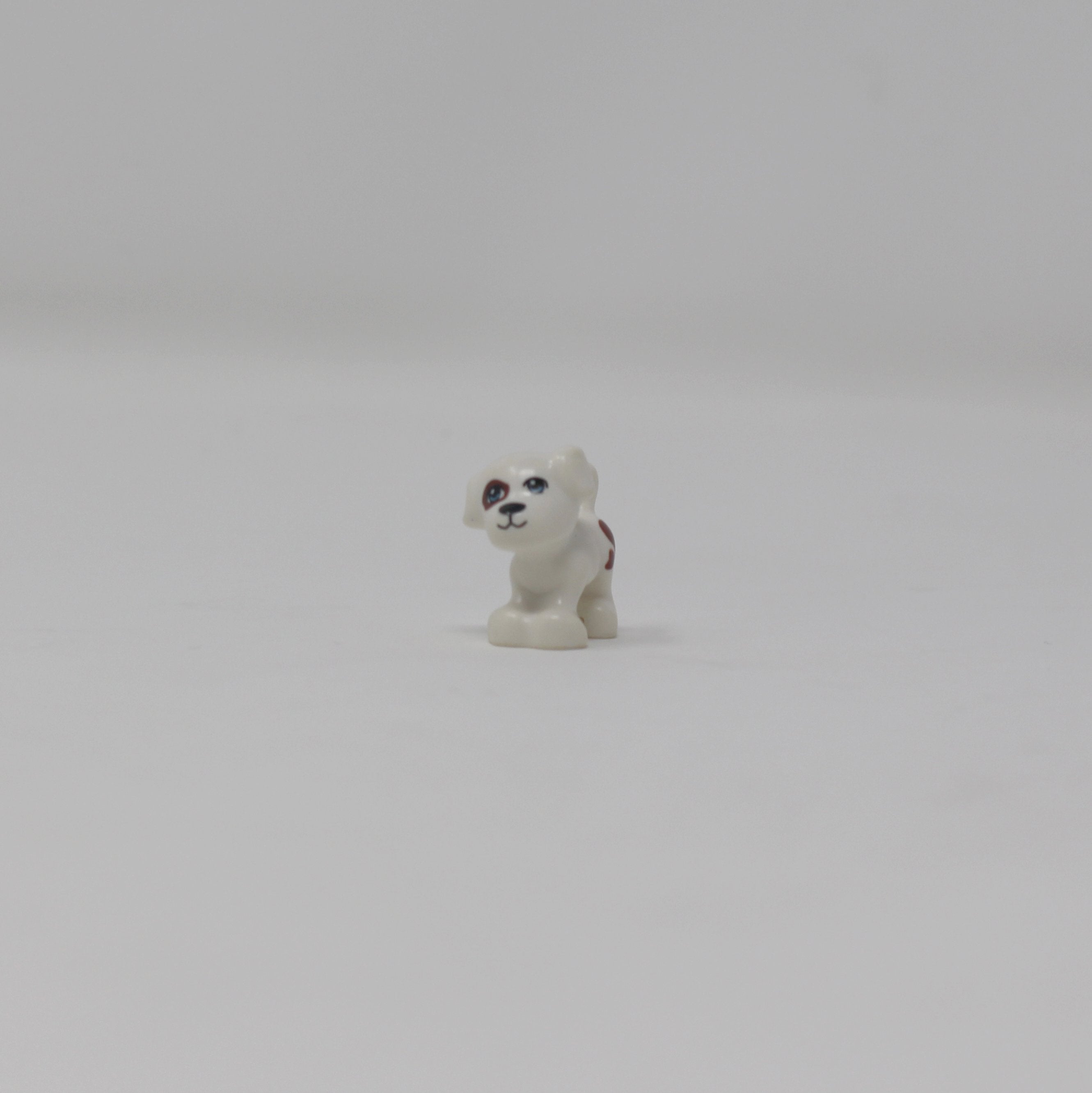 White Dog (brown spots)