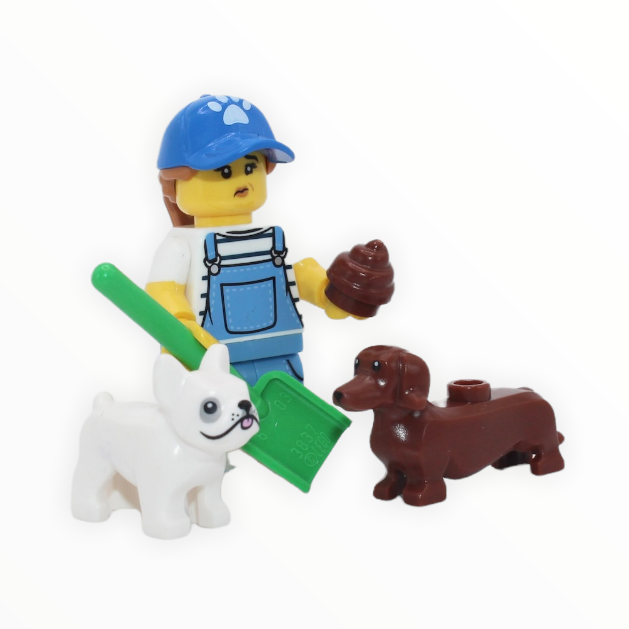 LEGO Series 19: Dog Sitter
