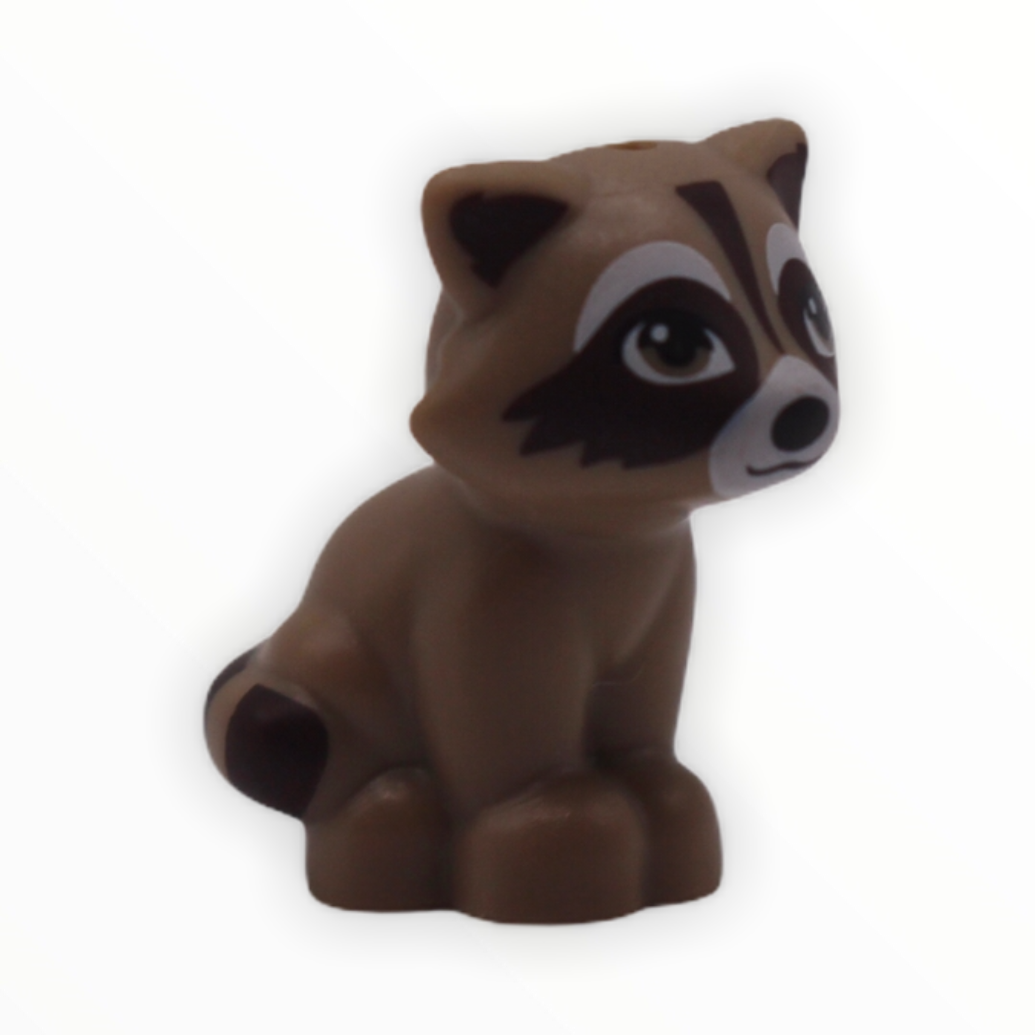 Raccoon (dark brown striped tail)