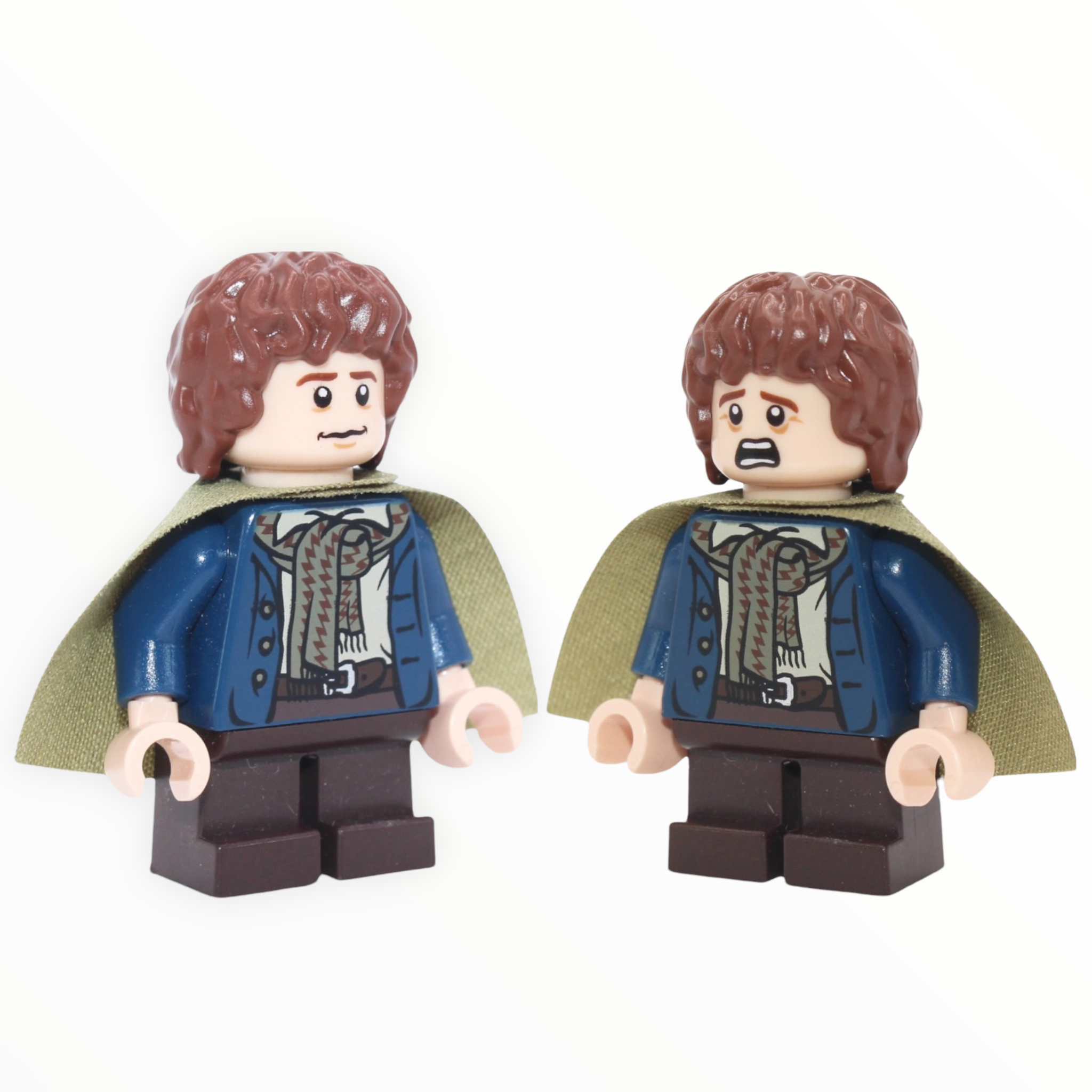 Peregrin “Pippin” Took