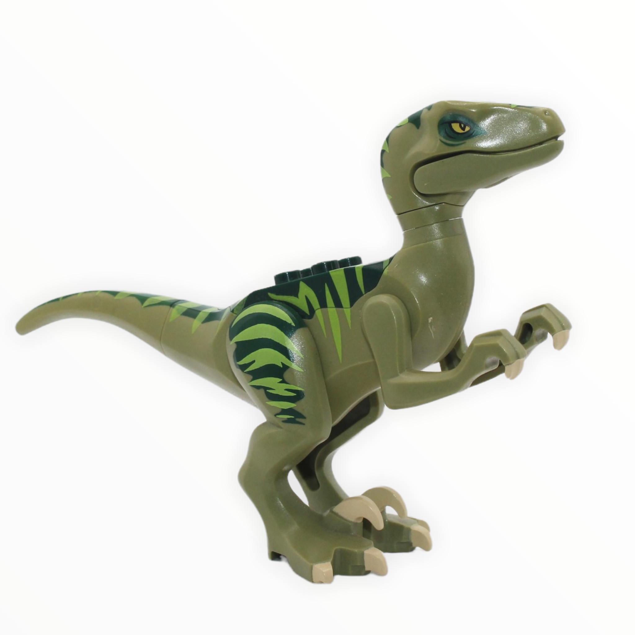 Olive Green Velociraptor (dark green back, lime markings)