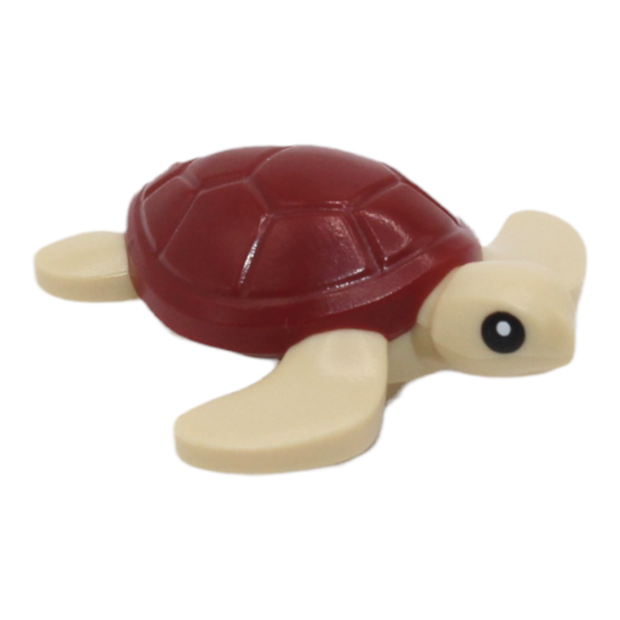 Sea Turtle (tan with dark red shell, 2022)