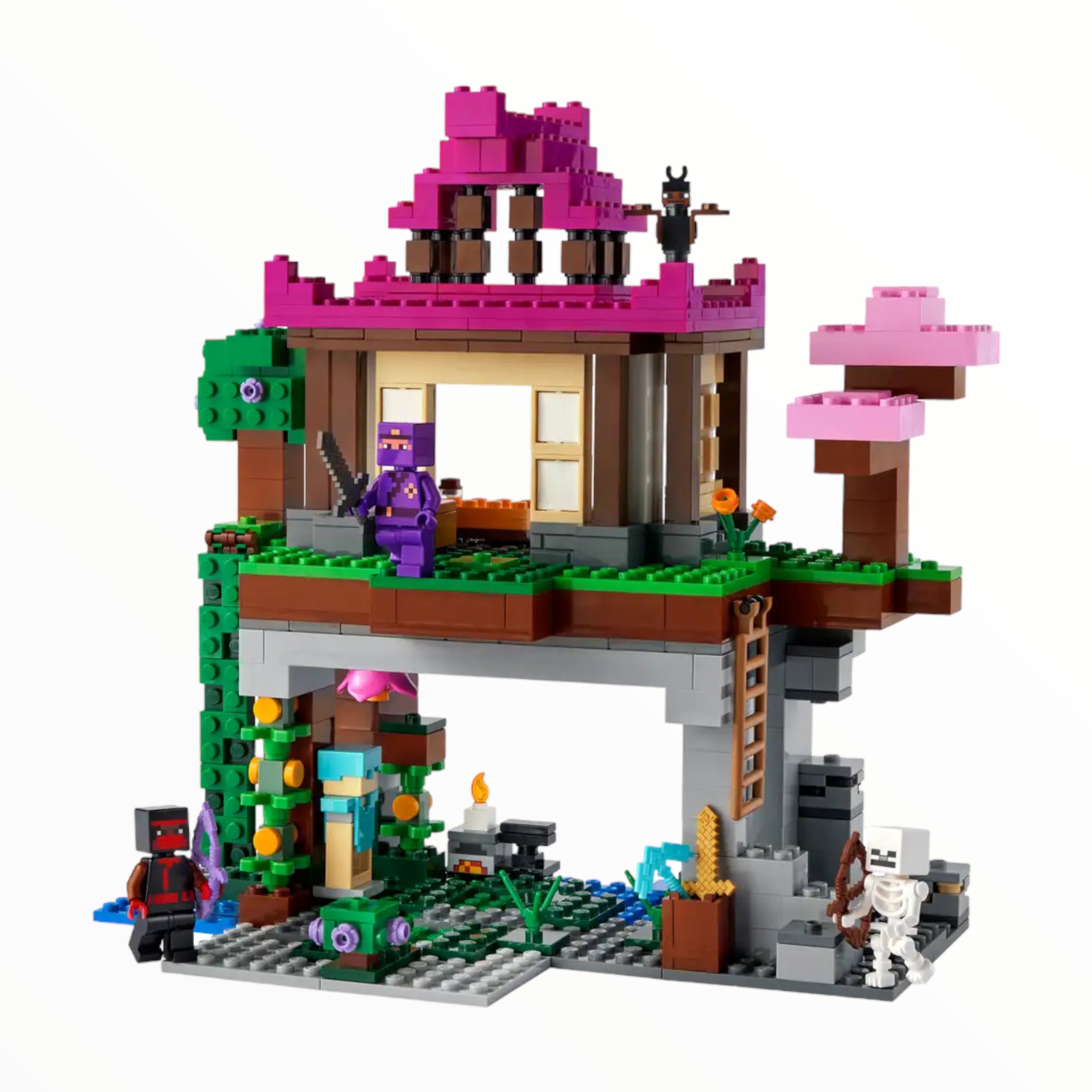 Retired Set 21183 Minecraft The Training Grounds