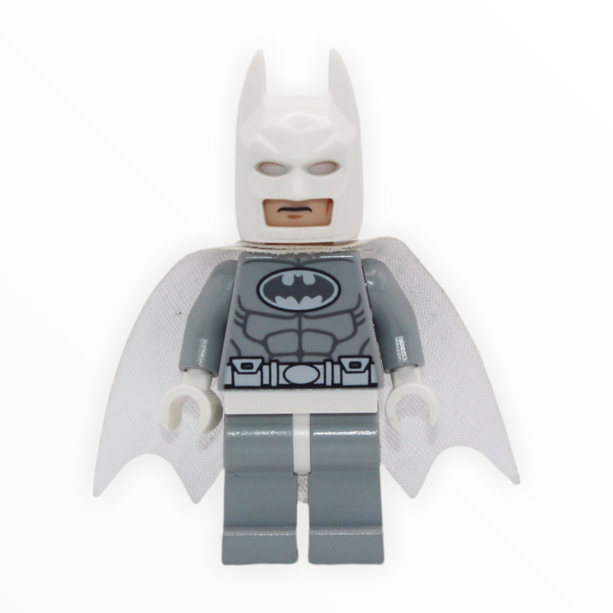 Batman (Arctic Suit)