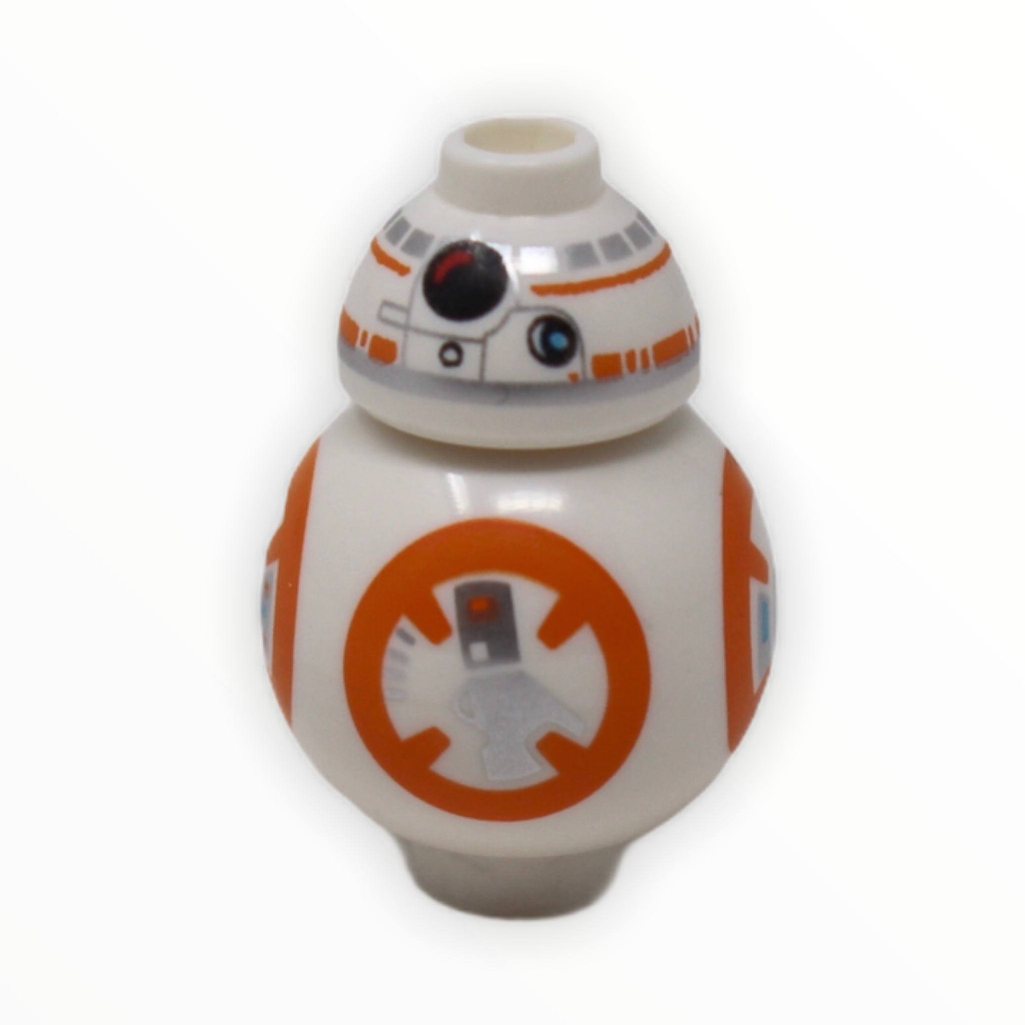 BB-8 (large photoreceptor)