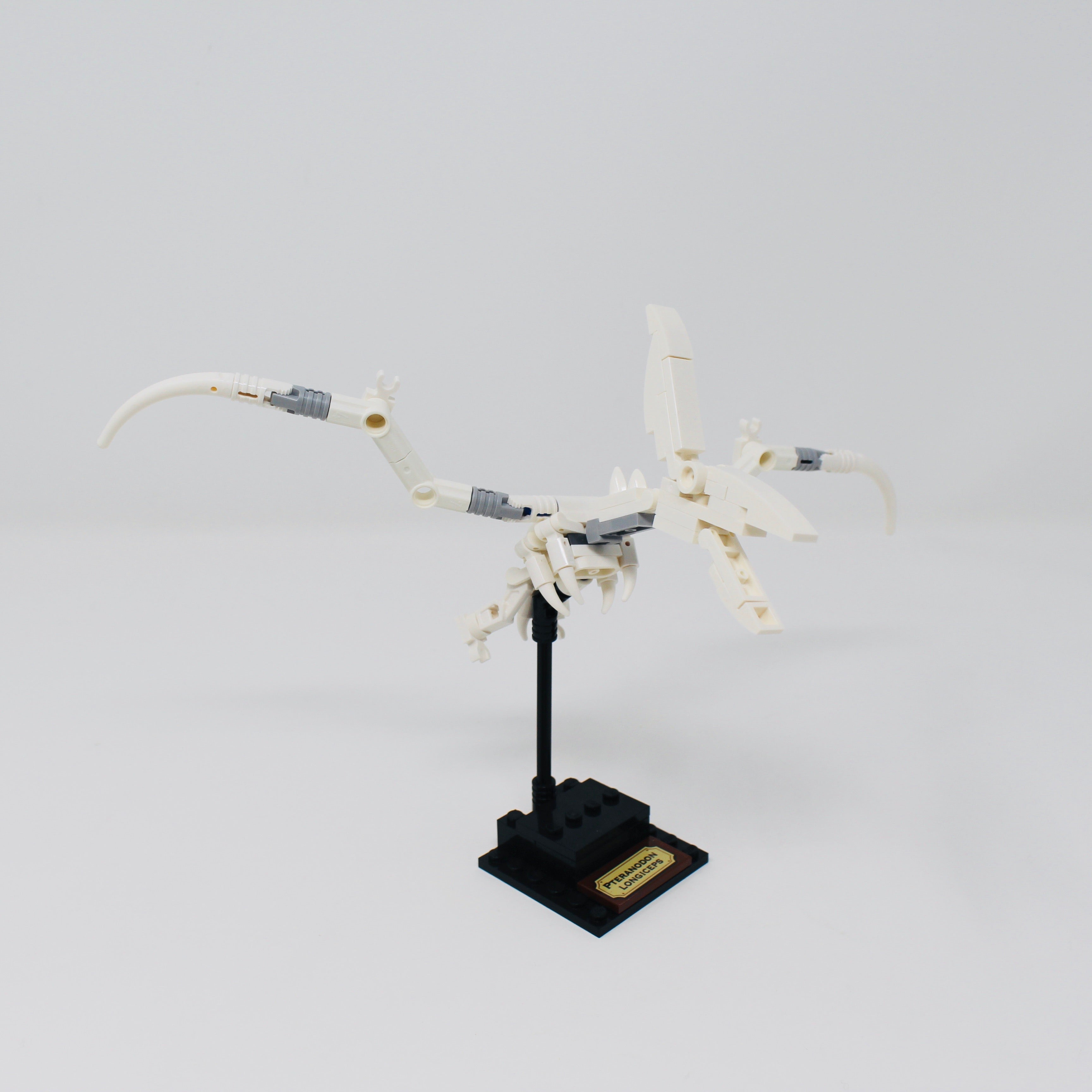 Used Set 21320 LEGO Ideas Dinosaur Fossils